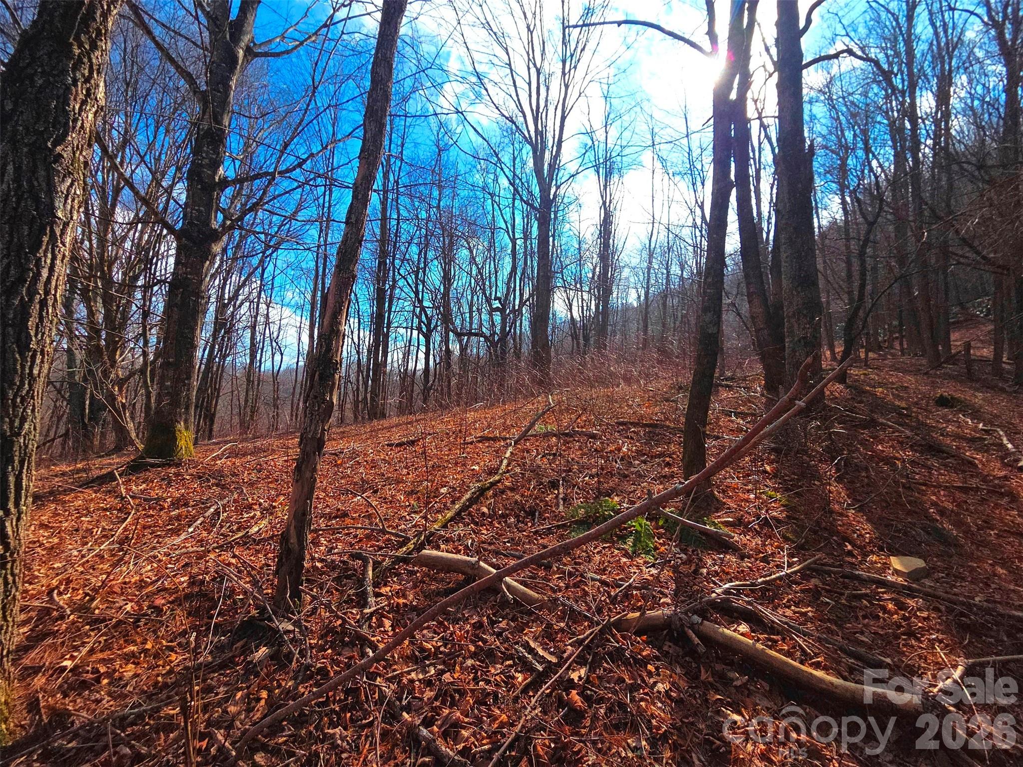 250 Rome Beauty Road Waynesville NC 28785