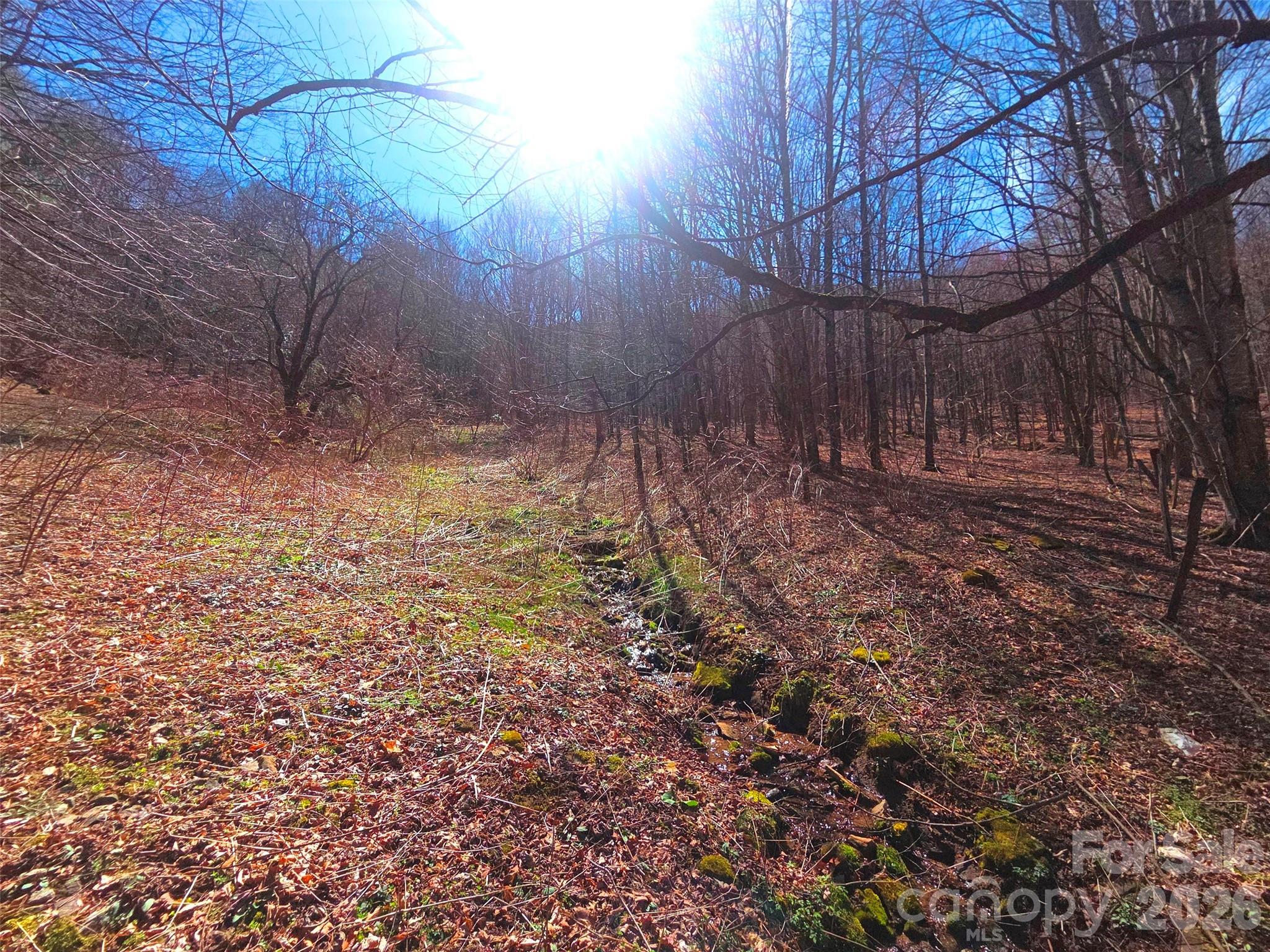 250 Rome Beauty Road Waynesville NC 28785