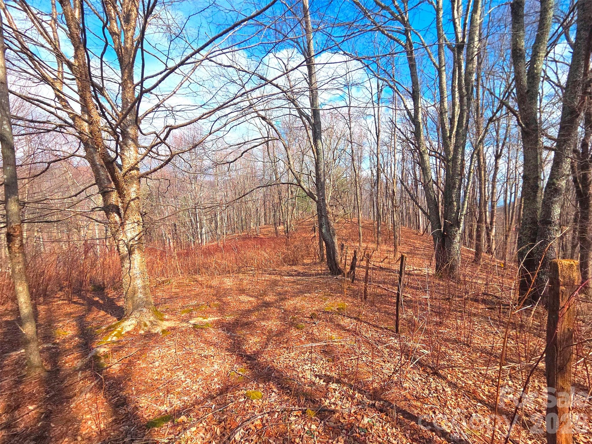 250 Rome Beauty Road Waynesville NC 28785