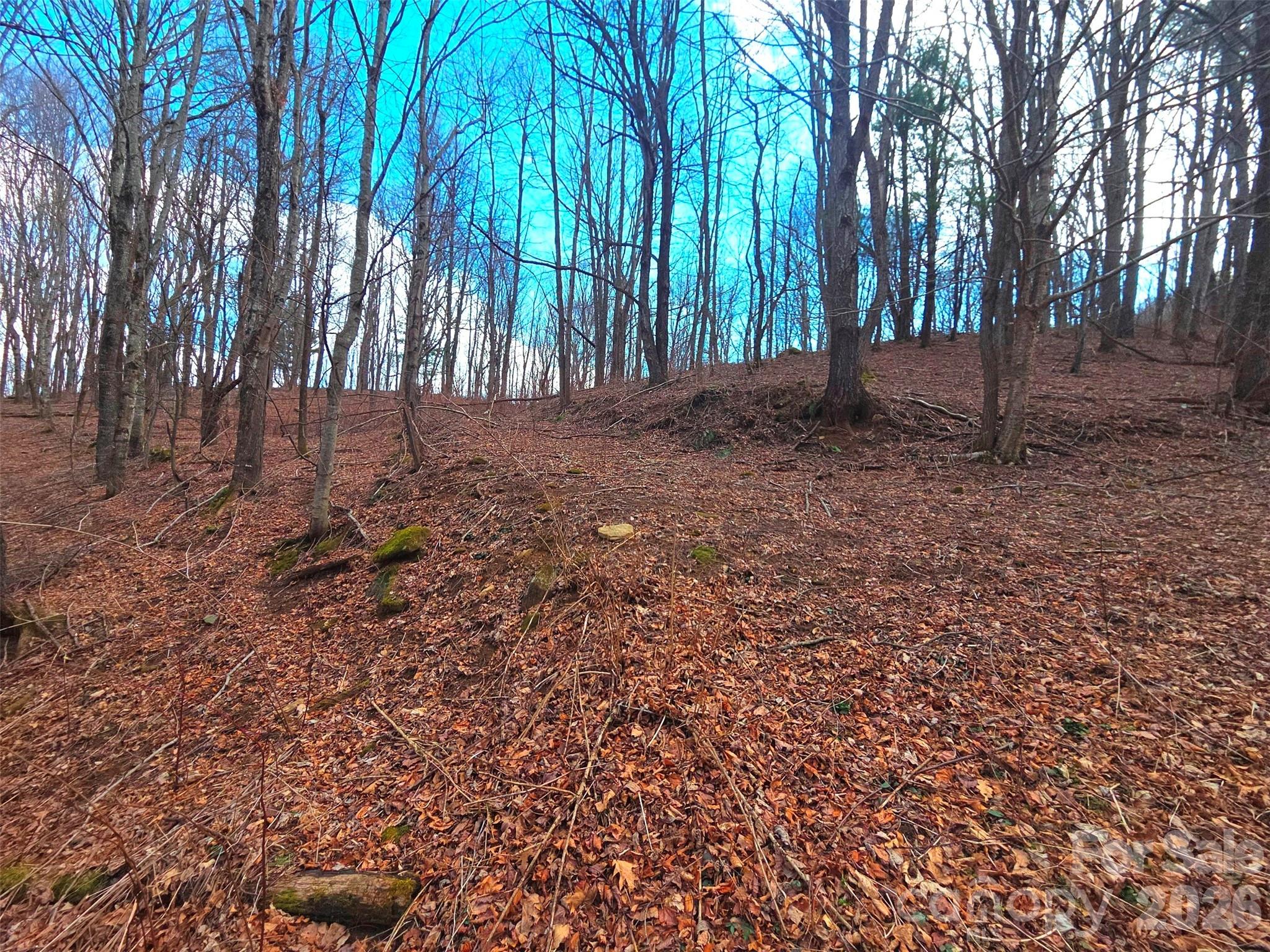 250 Rome Beauty Road Waynesville NC 28785