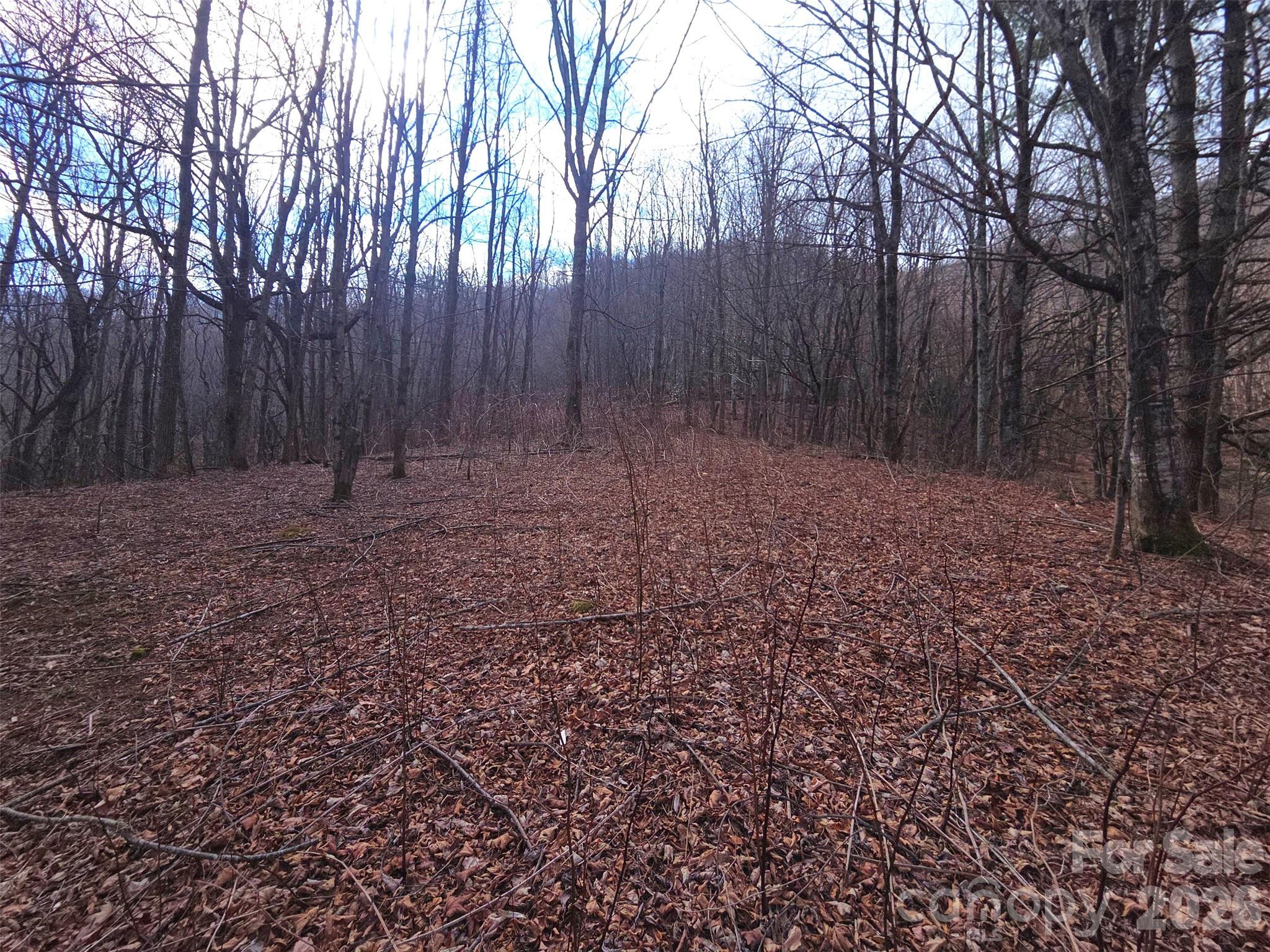 250 Rome Beauty Road Waynesville NC 28785