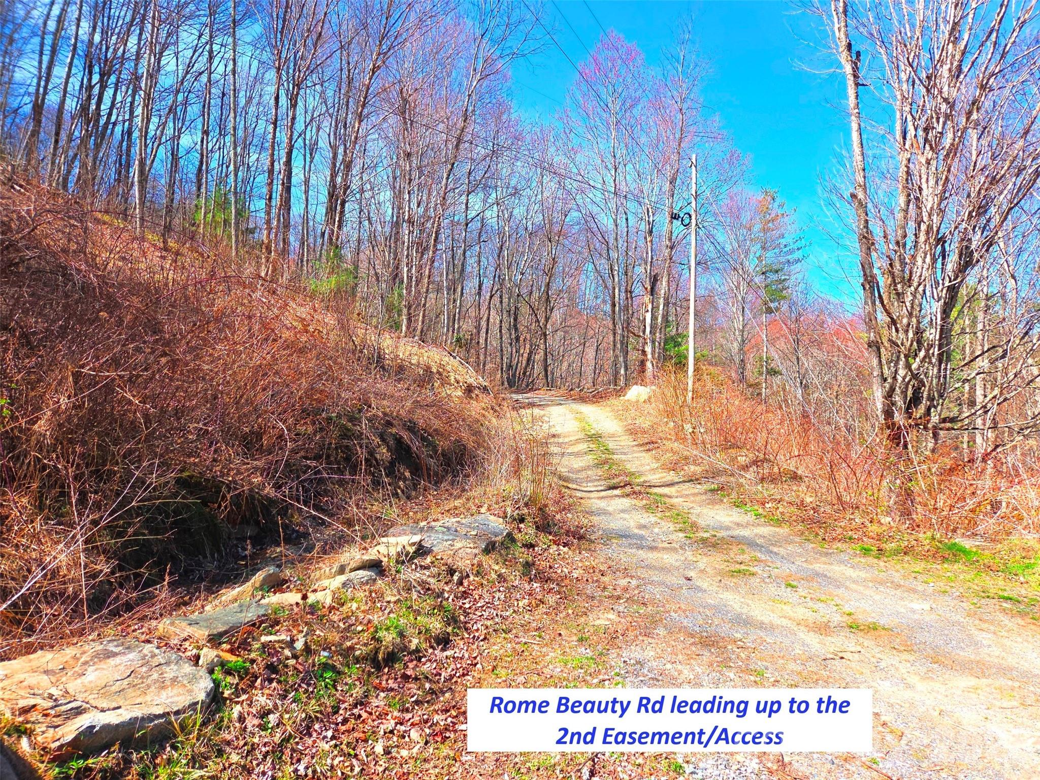 250 Rome Beauty Road Waynesville NC 28785