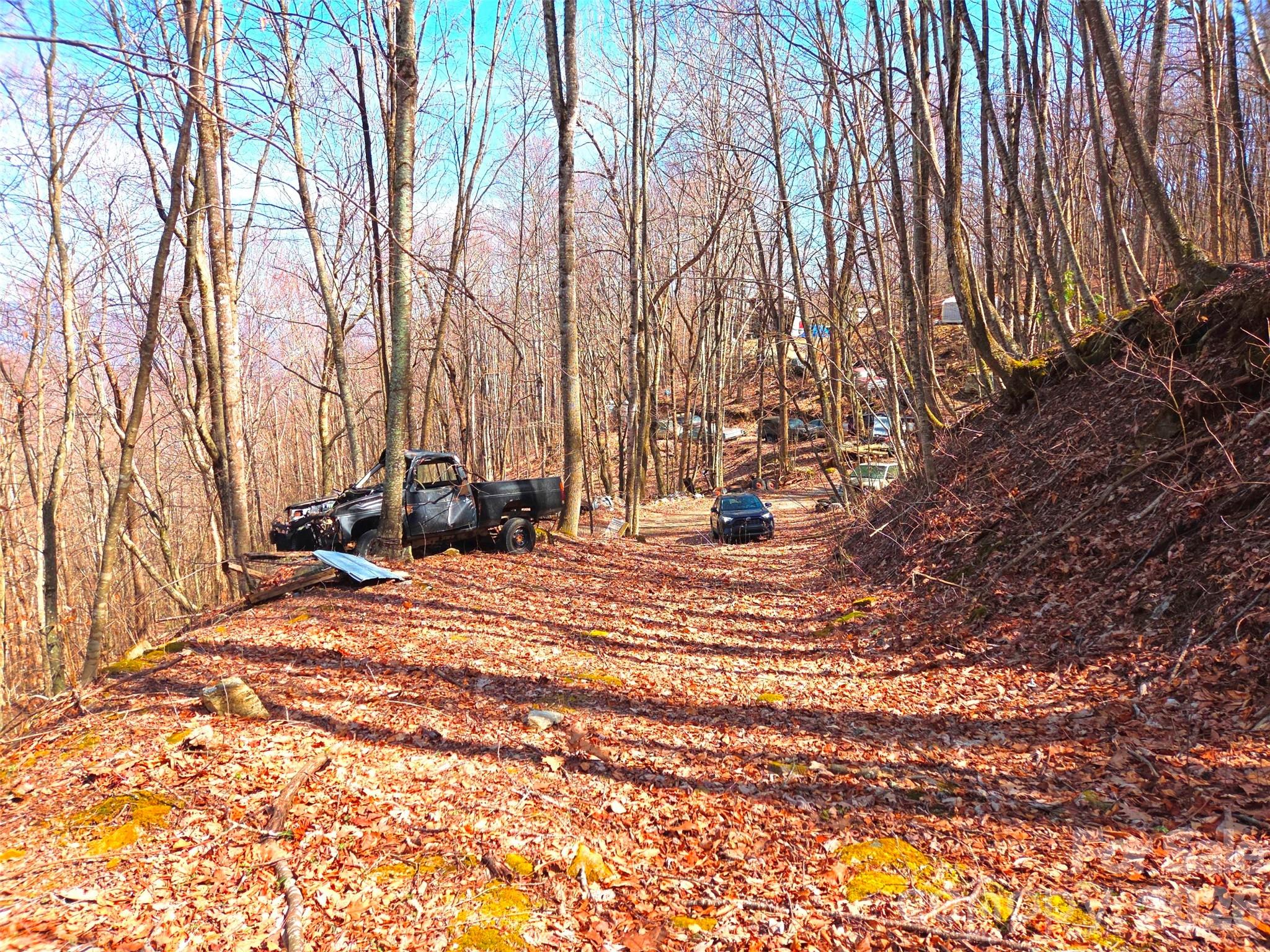 250 Rome Beauty Road Waynesville NC 28785