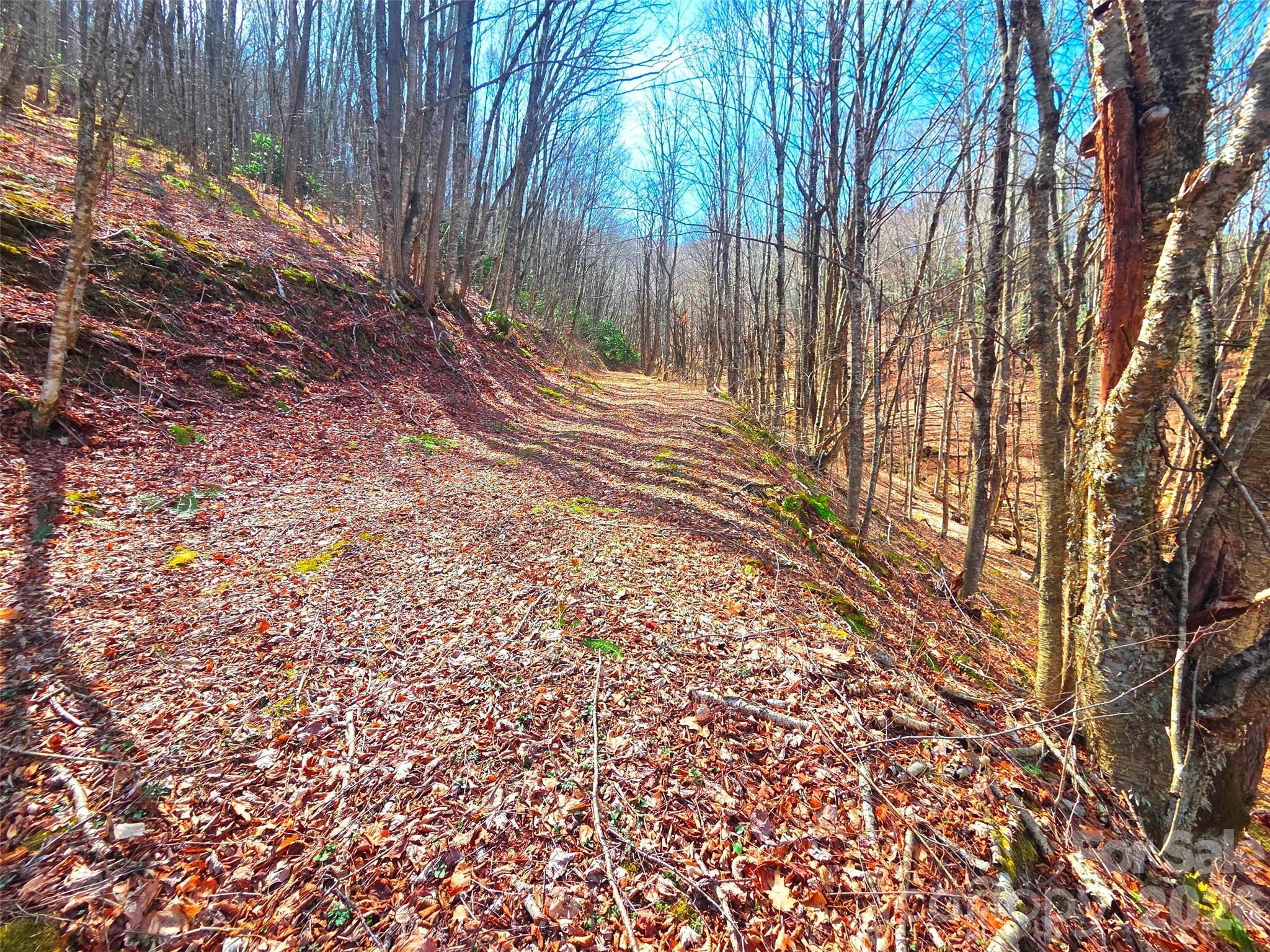250 Rome Beauty Road Waynesville NC 28785