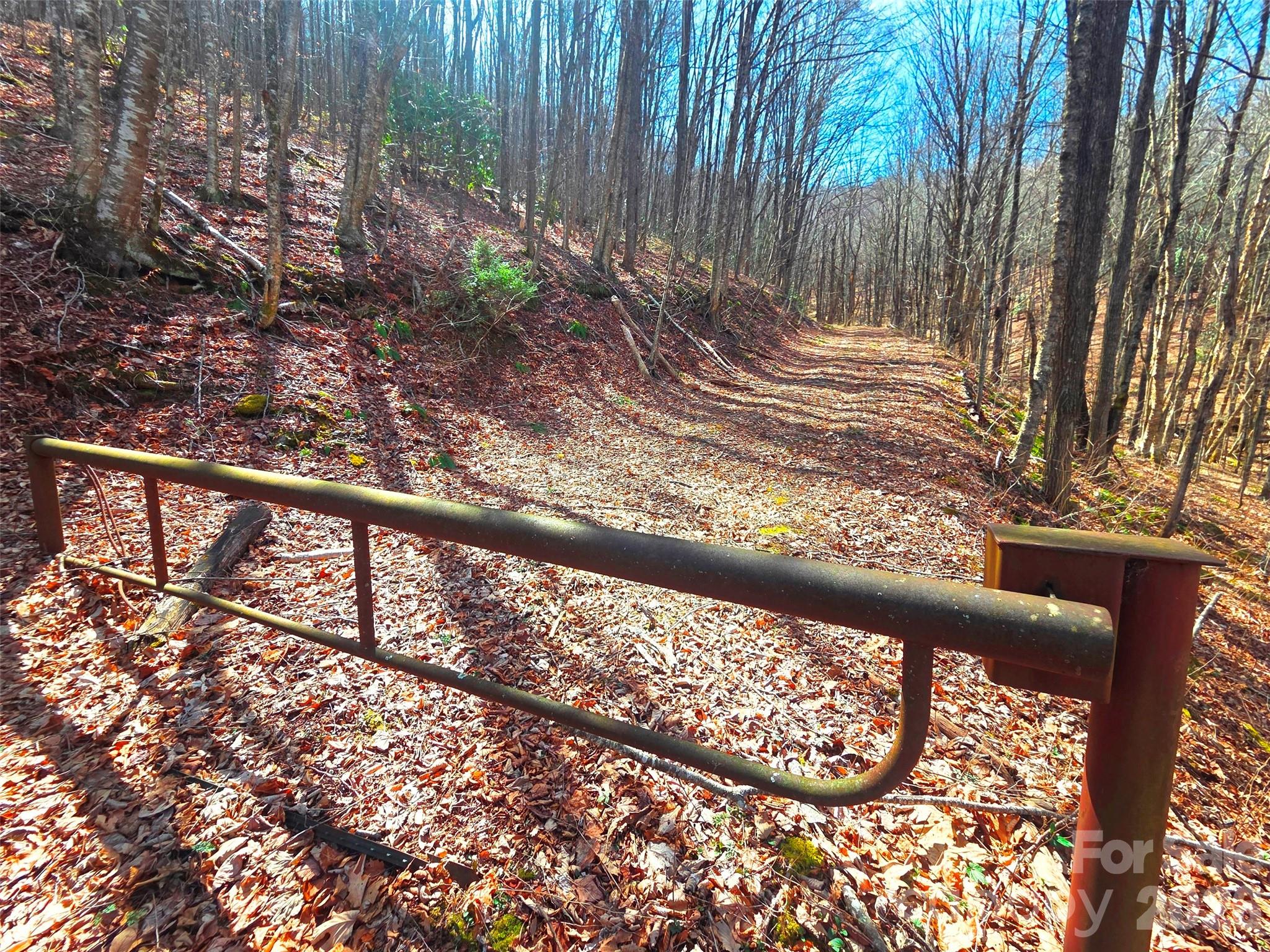 250 Rome Beauty Road Waynesville NC 28785