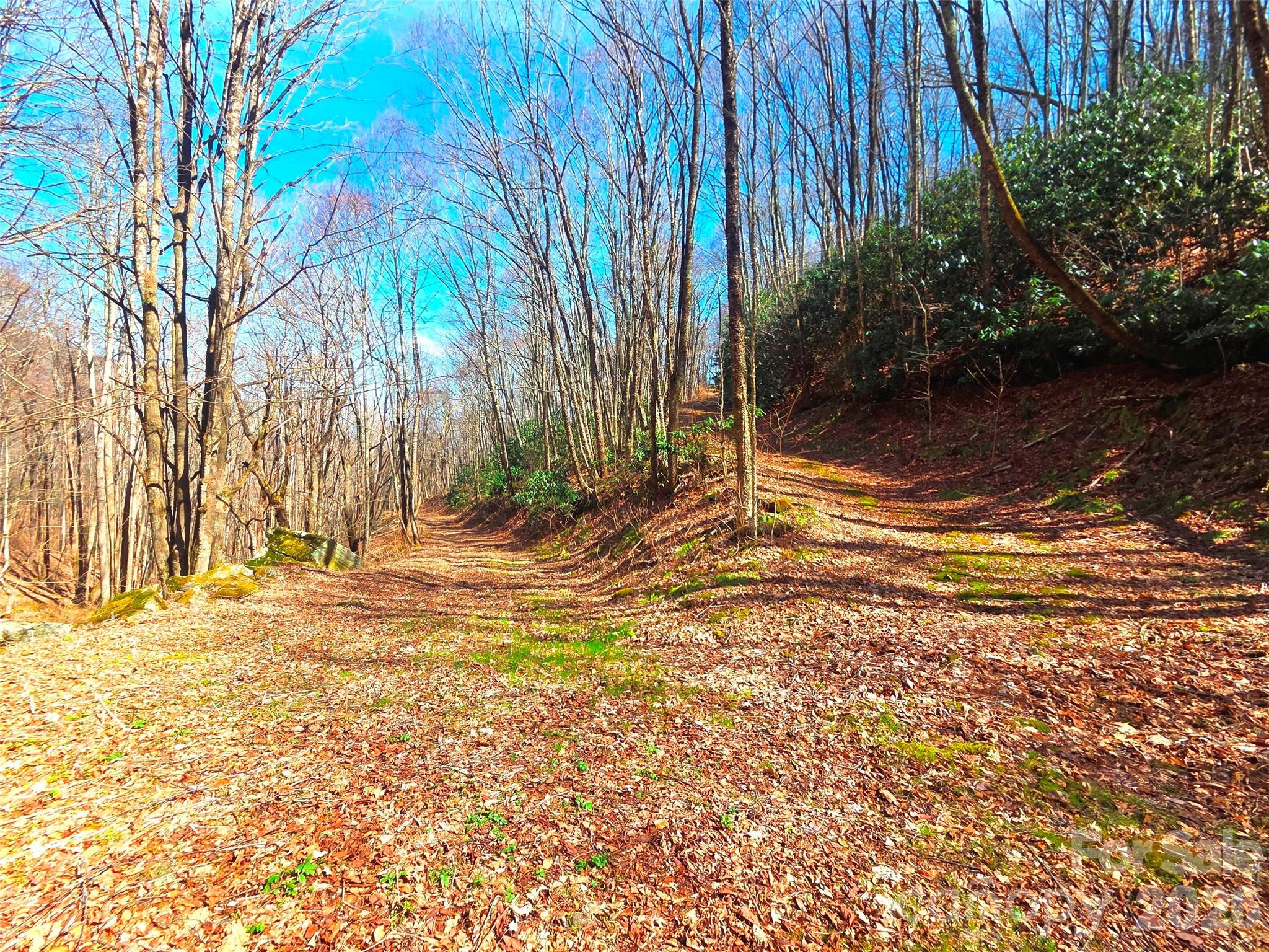 250 Rome Beauty Road Waynesville NC 28785
