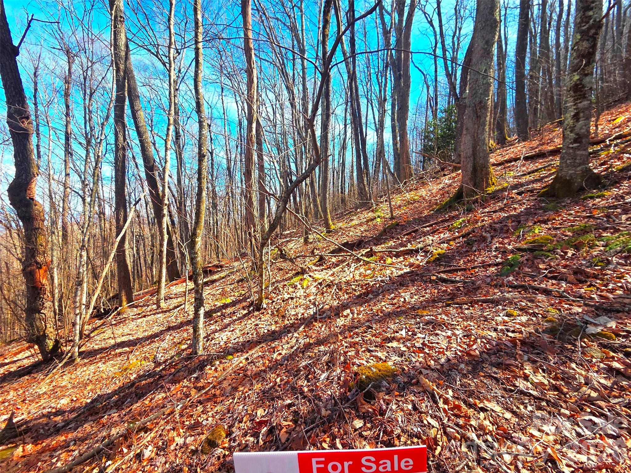 250 Rome Beauty Road Waynesville NC 28785