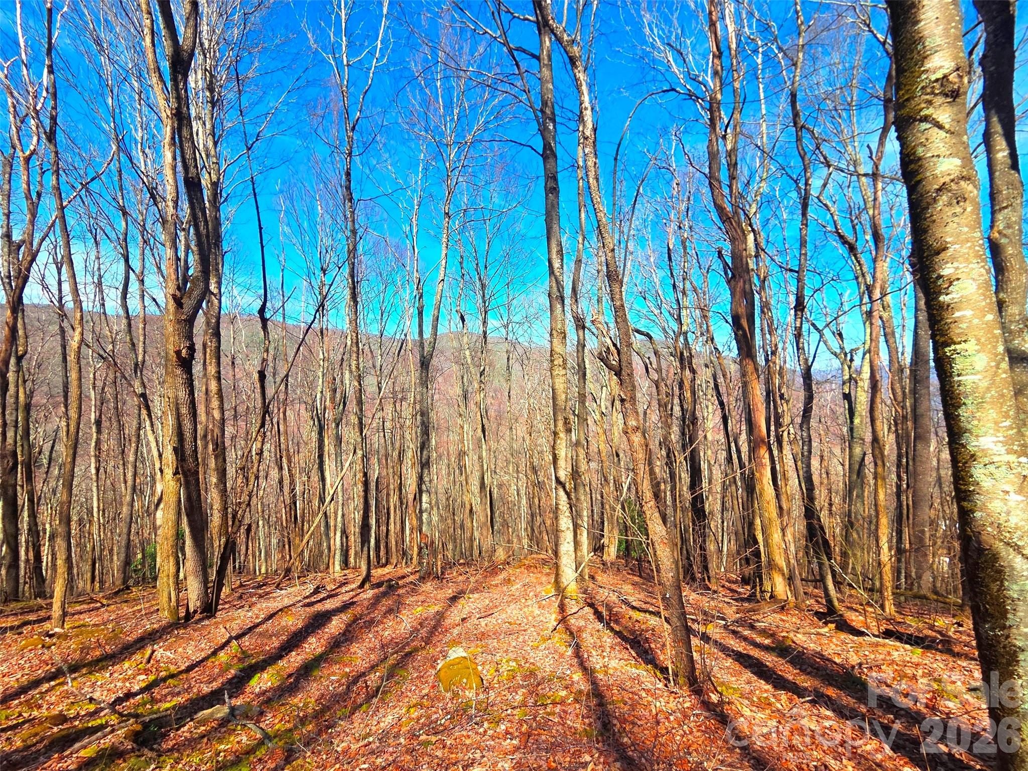 250 Rome Beauty Road Waynesville NC 28785