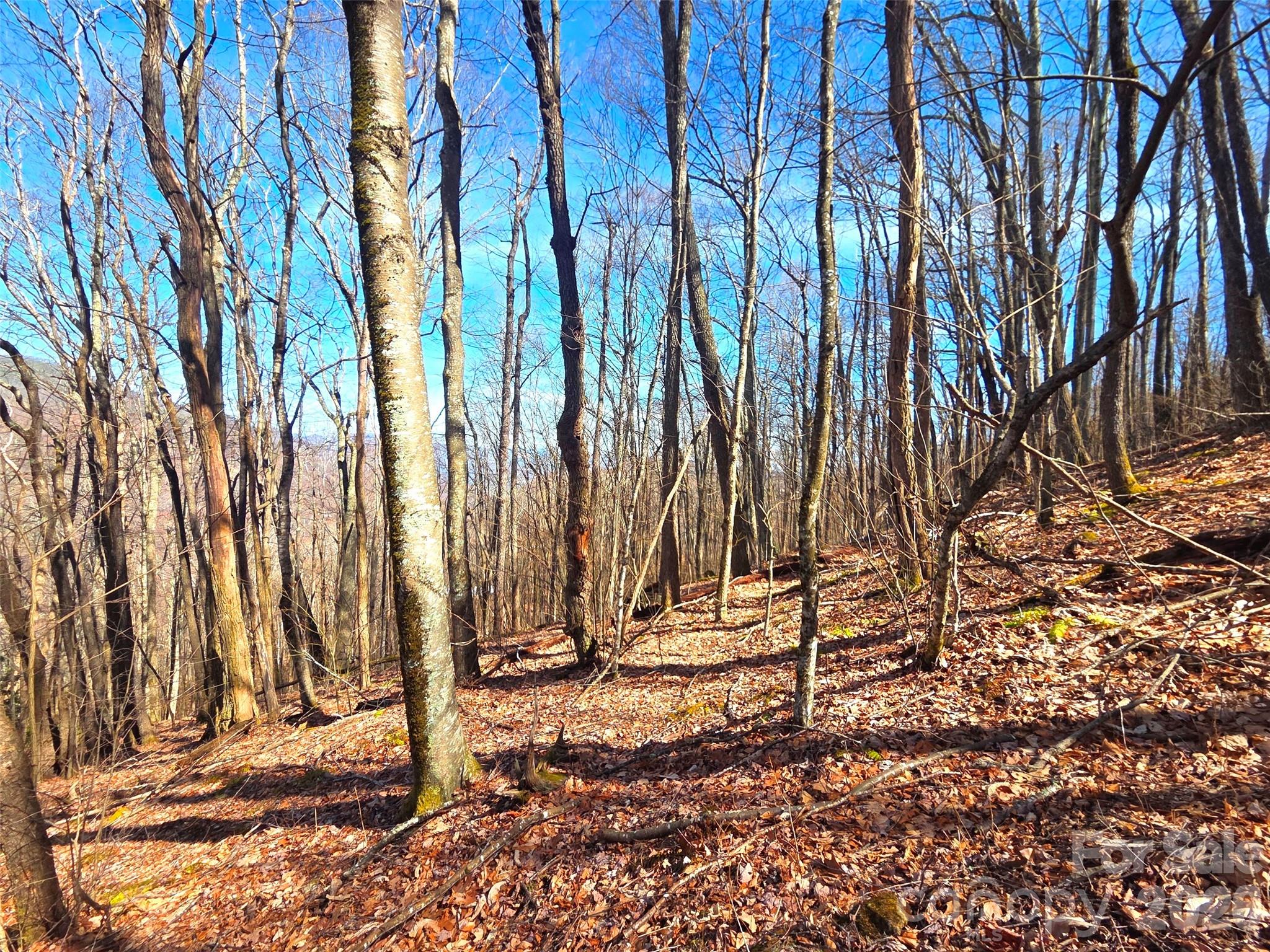 250 Rome Beauty Road Waynesville NC 28785