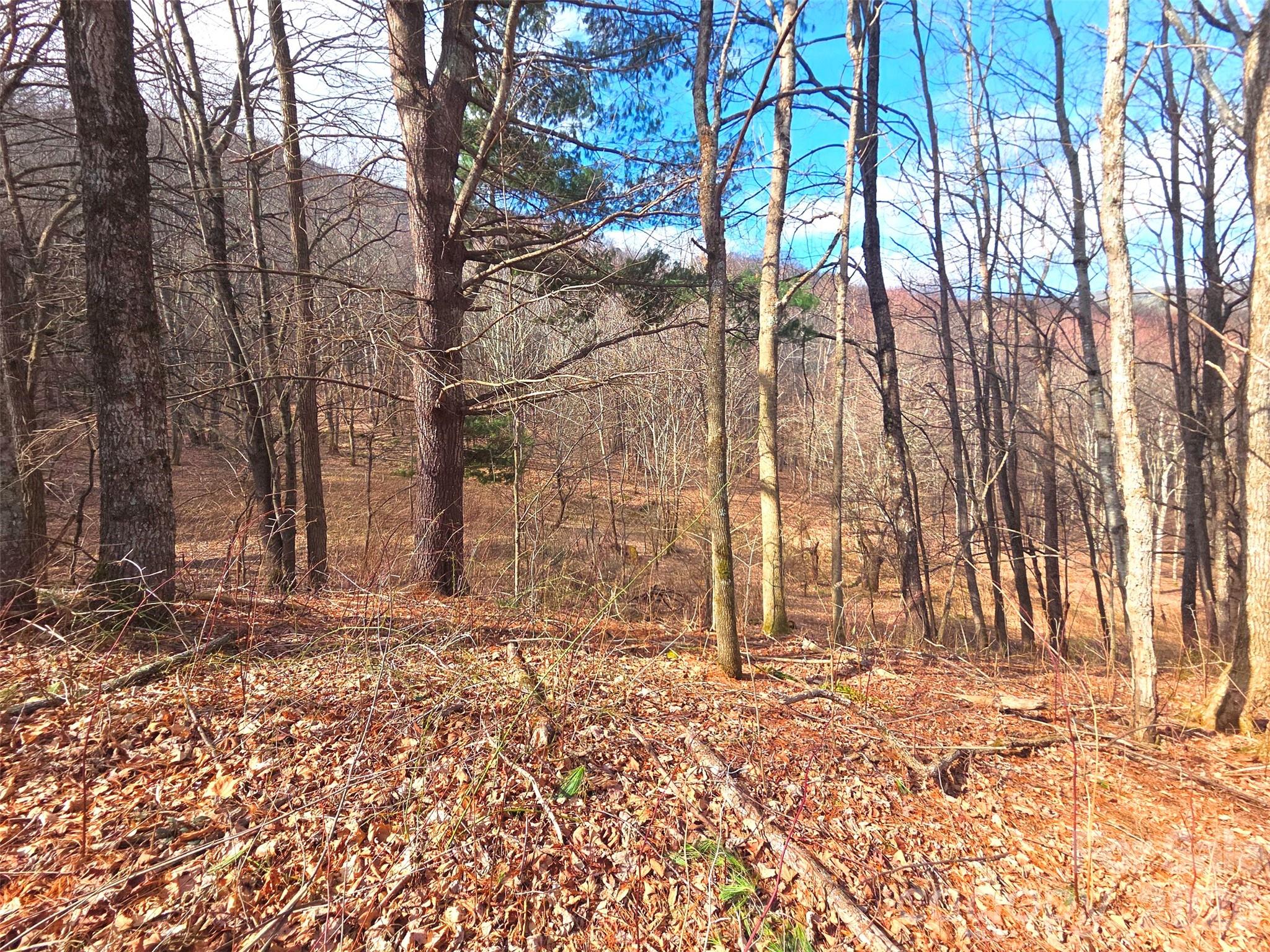 250 Rome Beauty Road Waynesville NC 28785