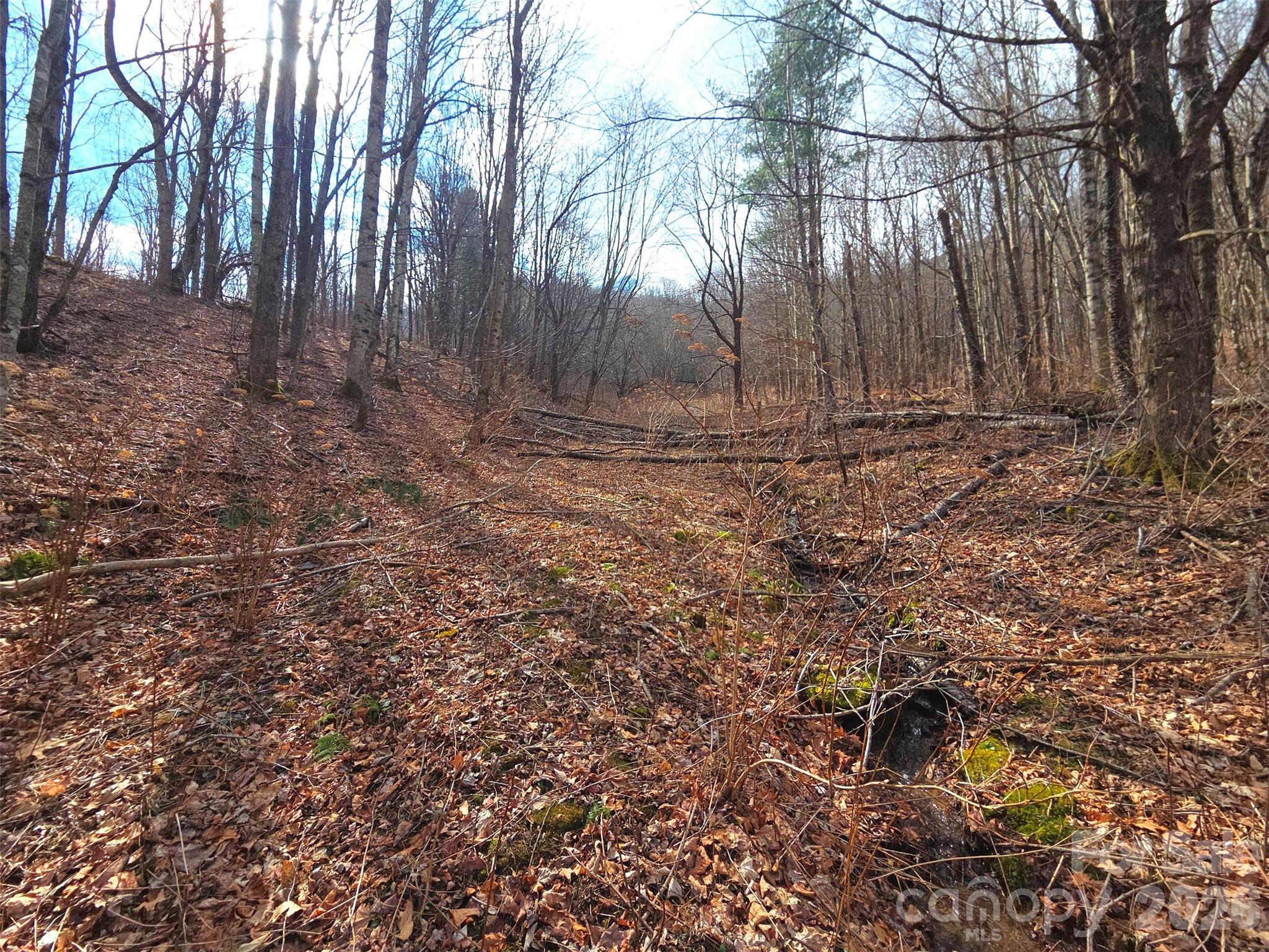 250 Rome Beauty Road Waynesville NC 28785