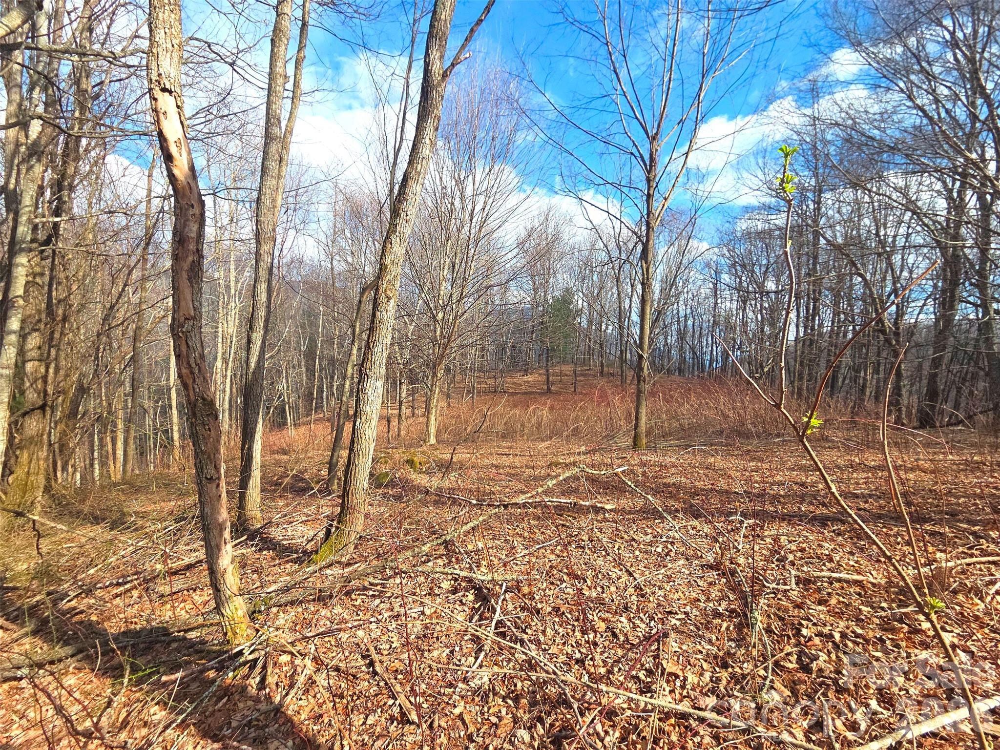 250 Rome Beauty Road Waynesville NC 28785