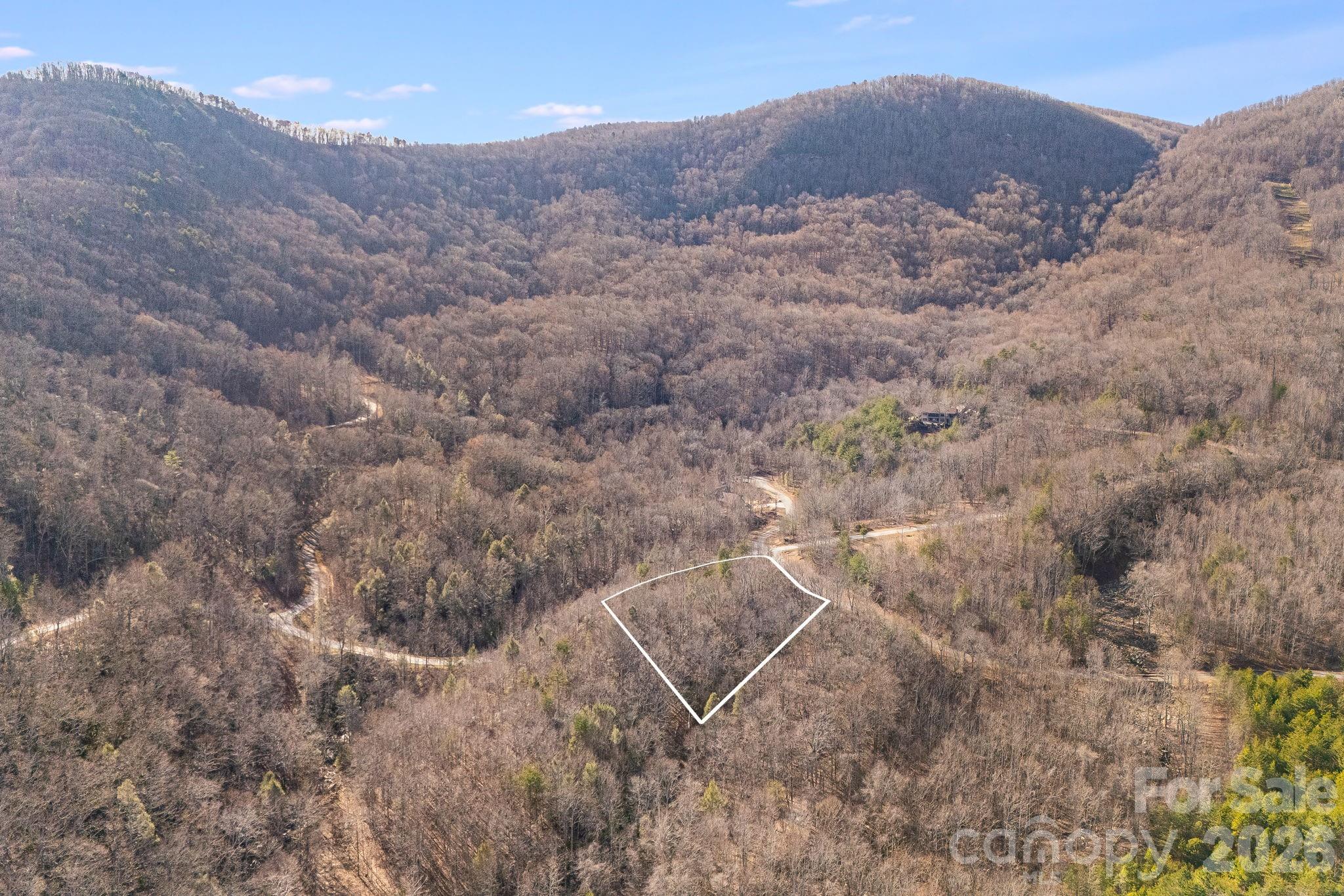 2049 W Deep Gap Farm Road Mill Spring NC 28756
