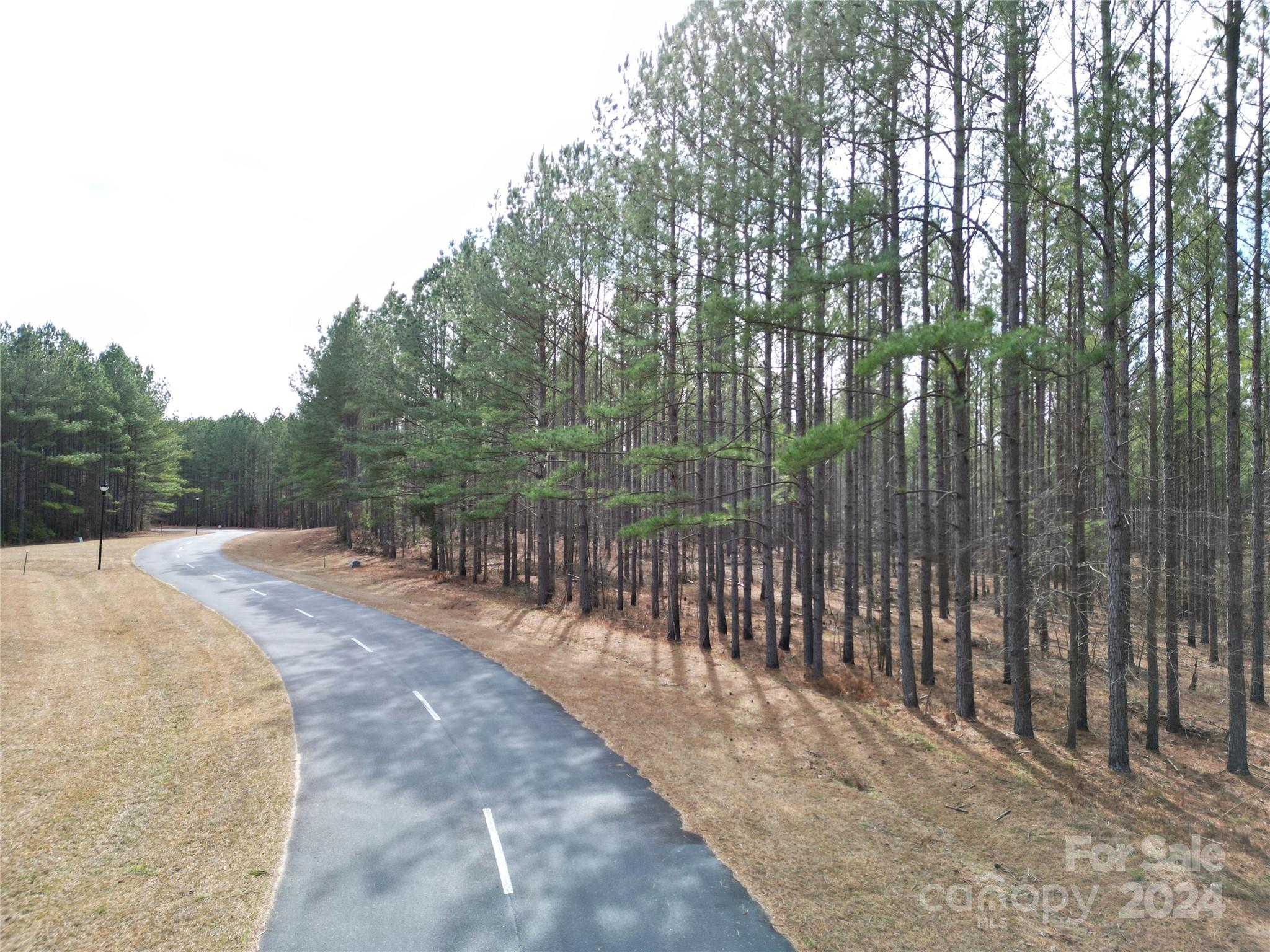 Tbd Spencer Pointe Road Lilesville NC 28091