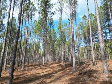 Tbd Spencer Pointe Road Lilesville NC 28091