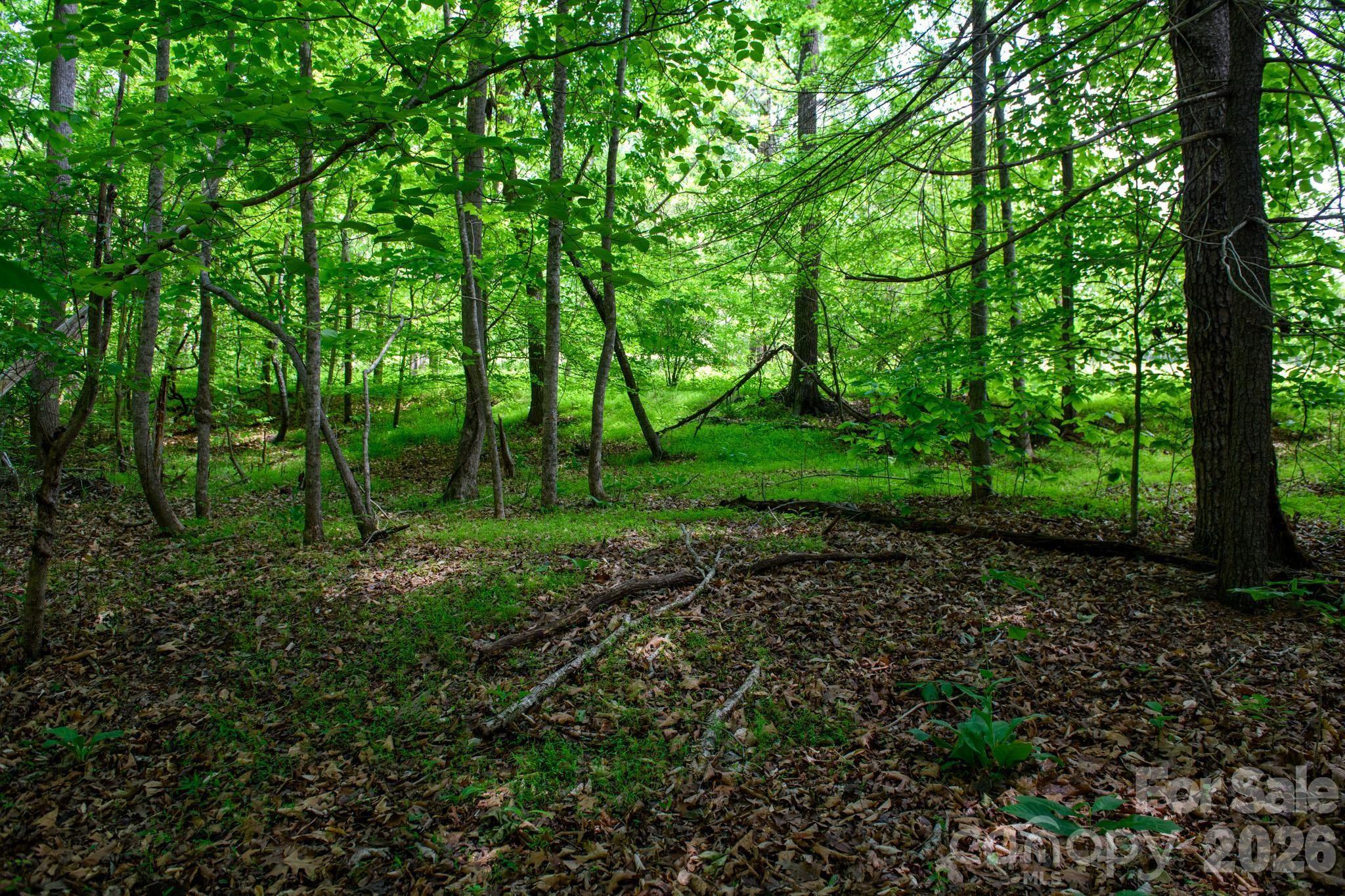 2314 Milton Street Newton NC 28658