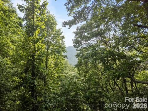 00 Granny Shepherd Road Mars Hill NC 28754