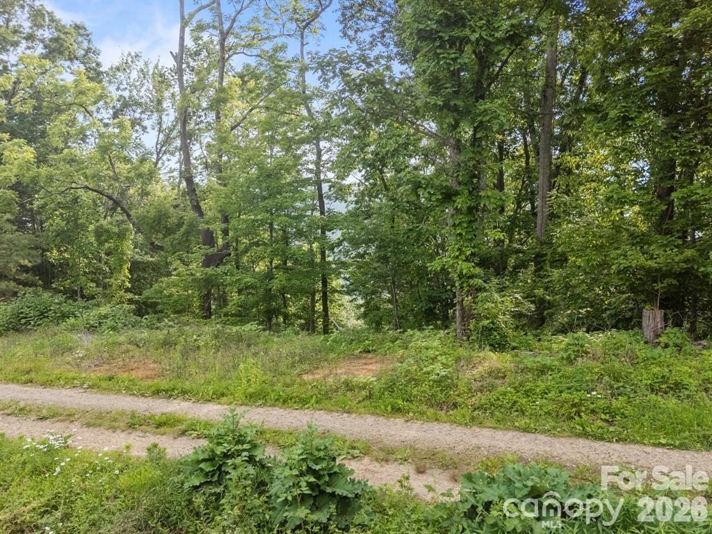 00 Granny Shepherd Road Mars Hill NC 28754