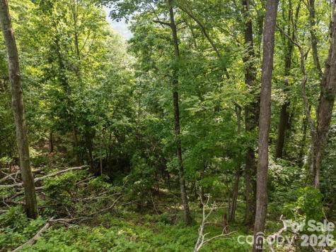 00 Granny Shepherd Road Mars Hill NC 28754