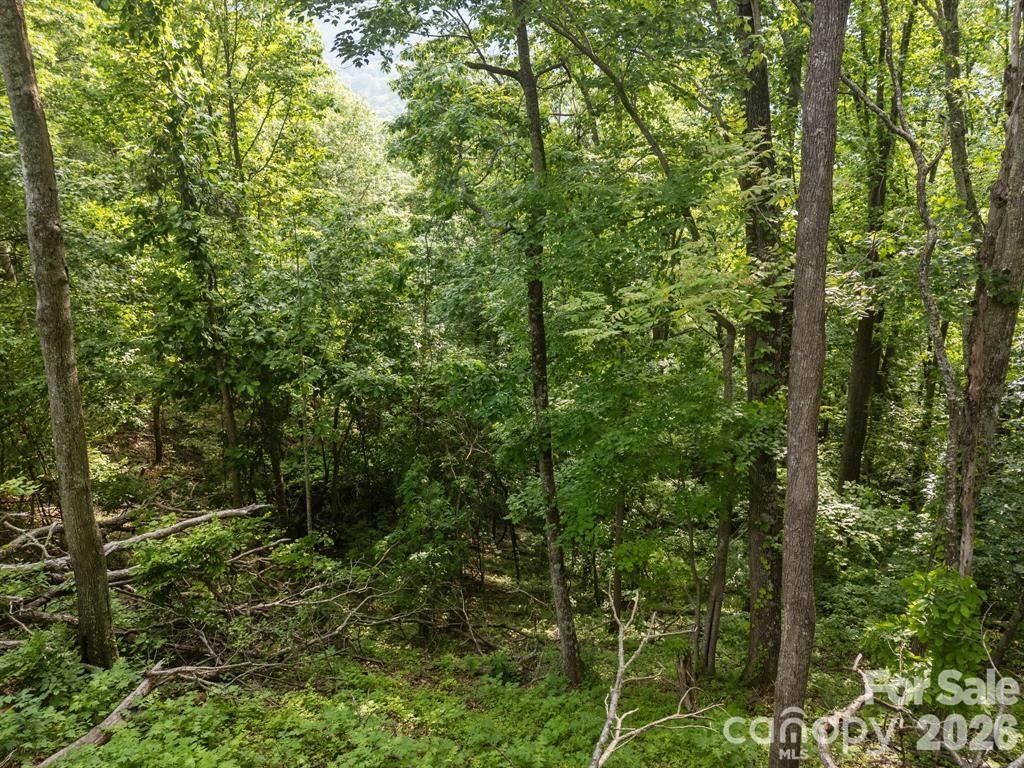 00 Granny Shepherd Road Mars Hill NC 28754
