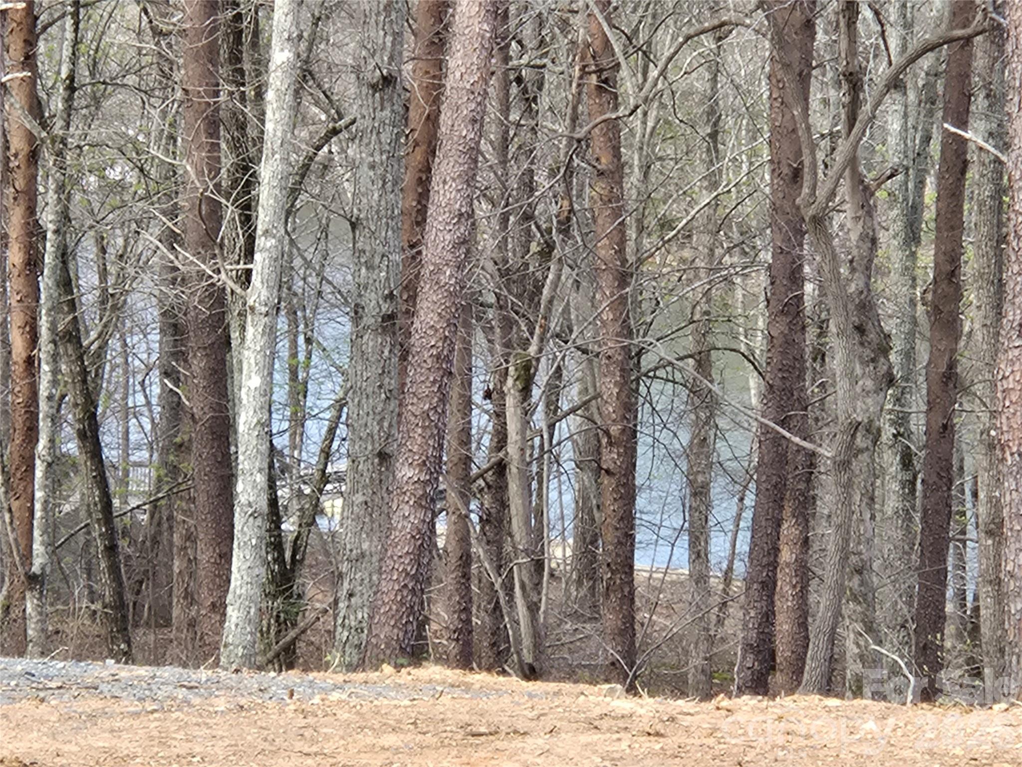 0 Whisper Lake Drive Badin Lake NC 28127