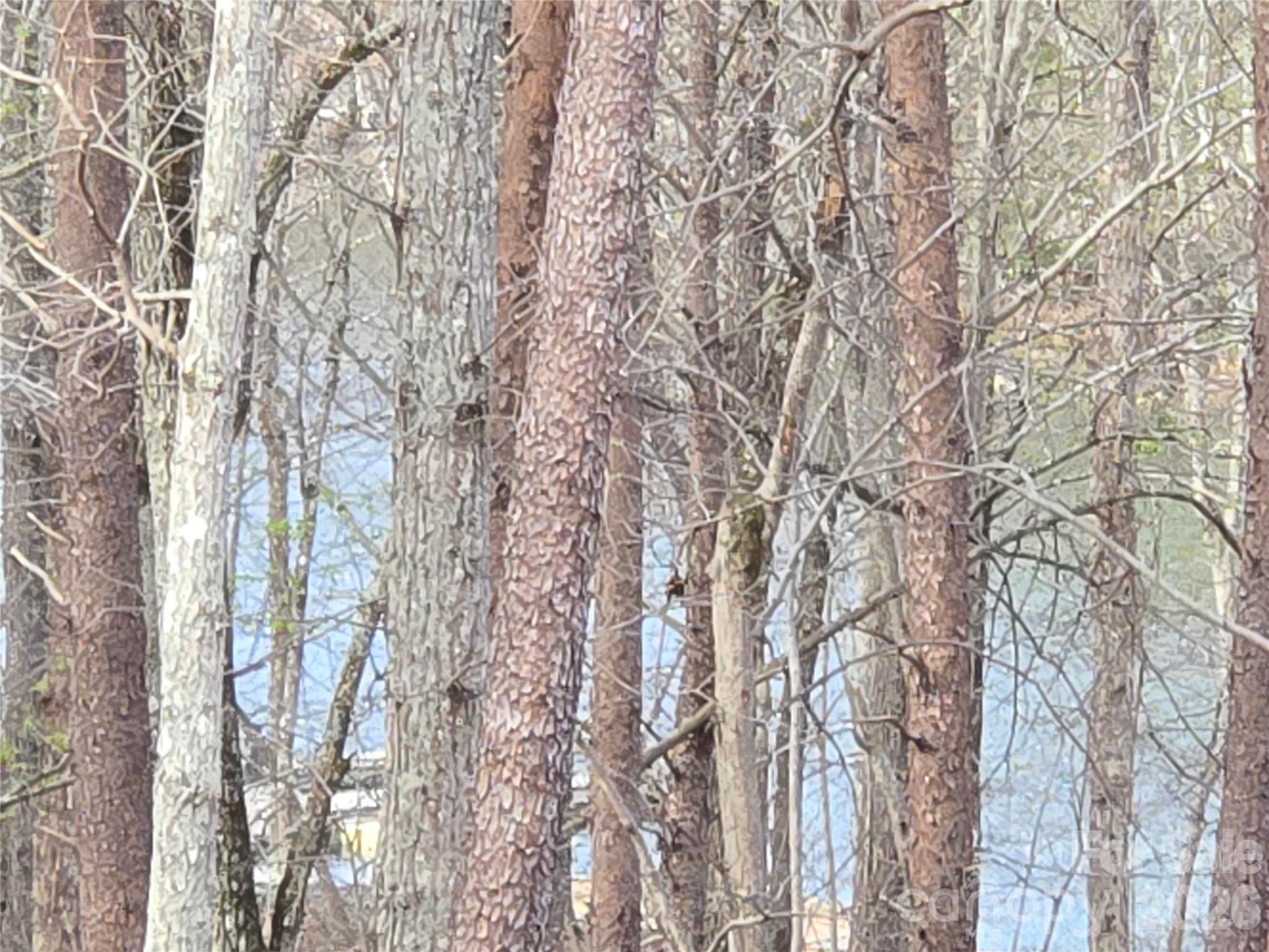 0 Whisper Lake Drive Badin Lake NC 28127