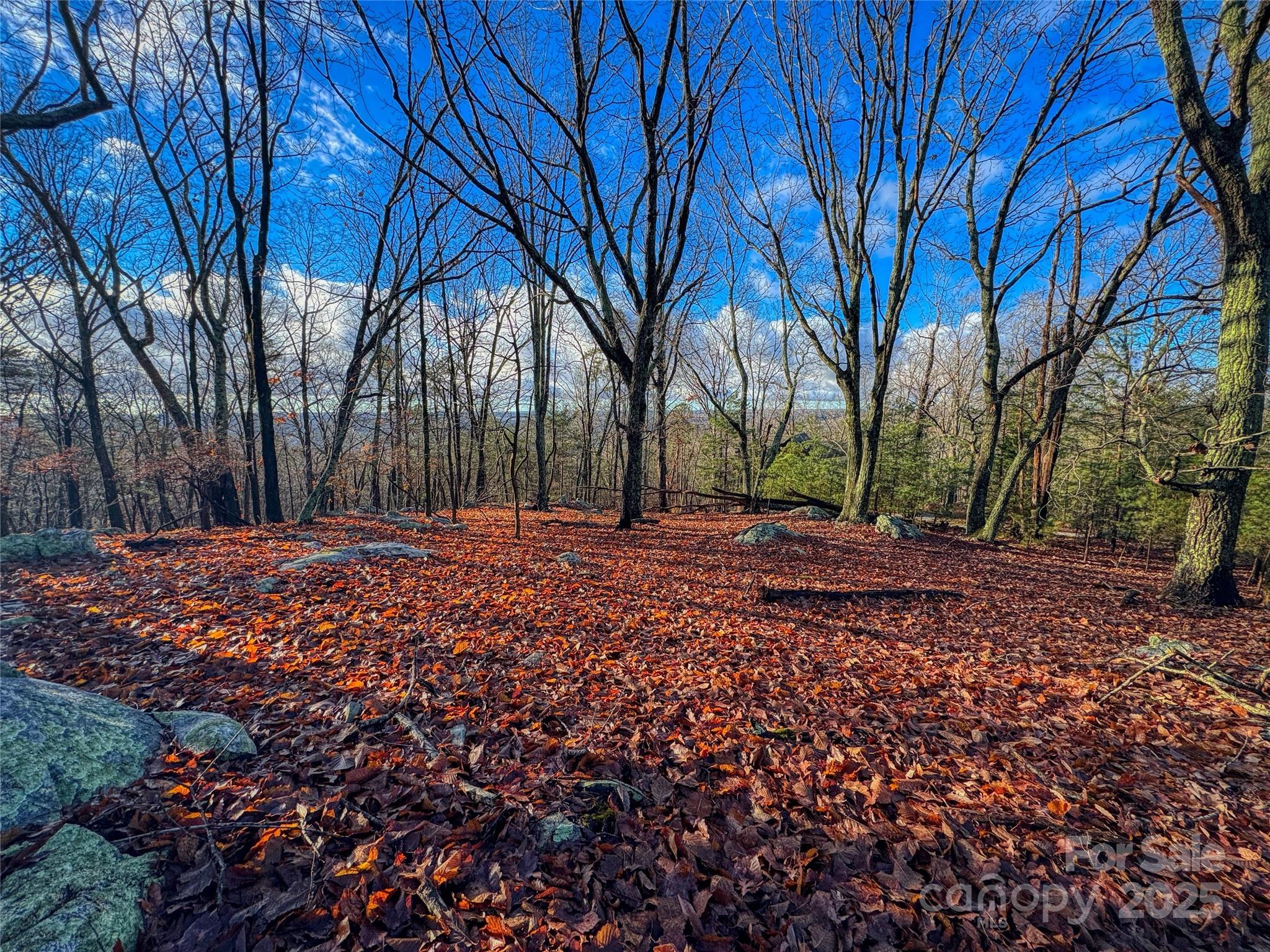 338 Sierra Trace Road Denton NC 27239