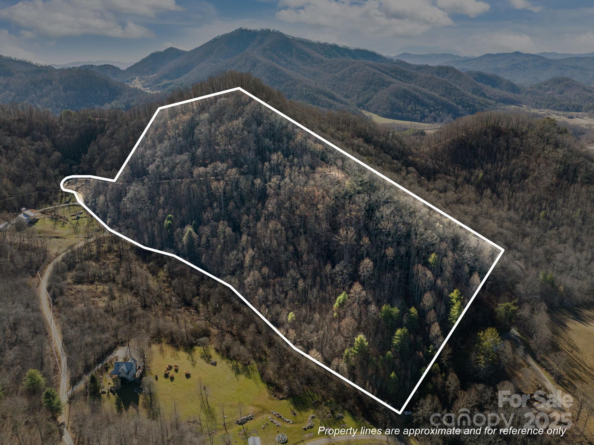 000 Wayward Cove Clyde NC 28721