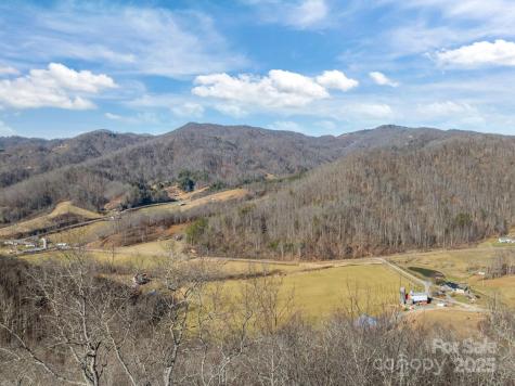 000 Wayward Cove Clyde NC 28721