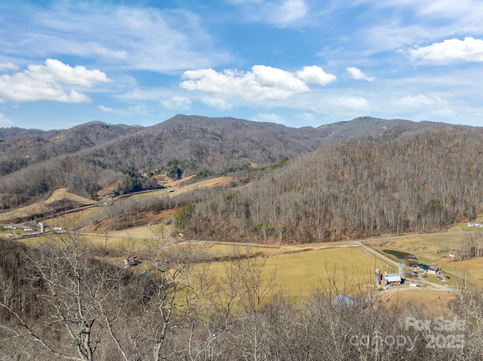 000 Wayward Cove Clyde NC 28721