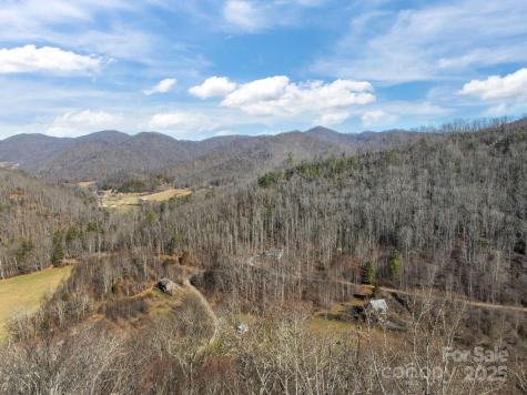000 Wayward Cove Clyde NC 28721
