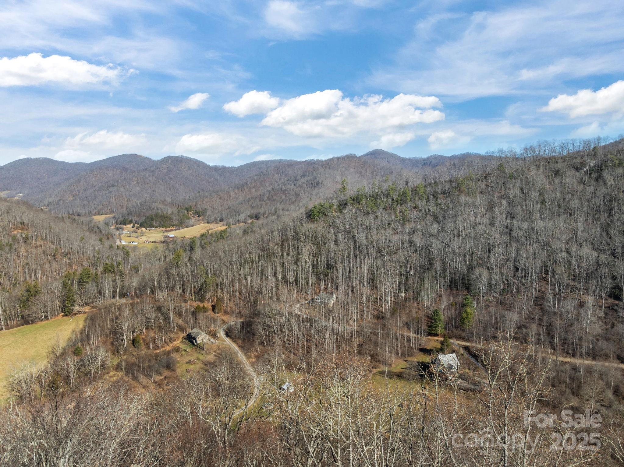 000 Wayward Cove Clyde NC 28721