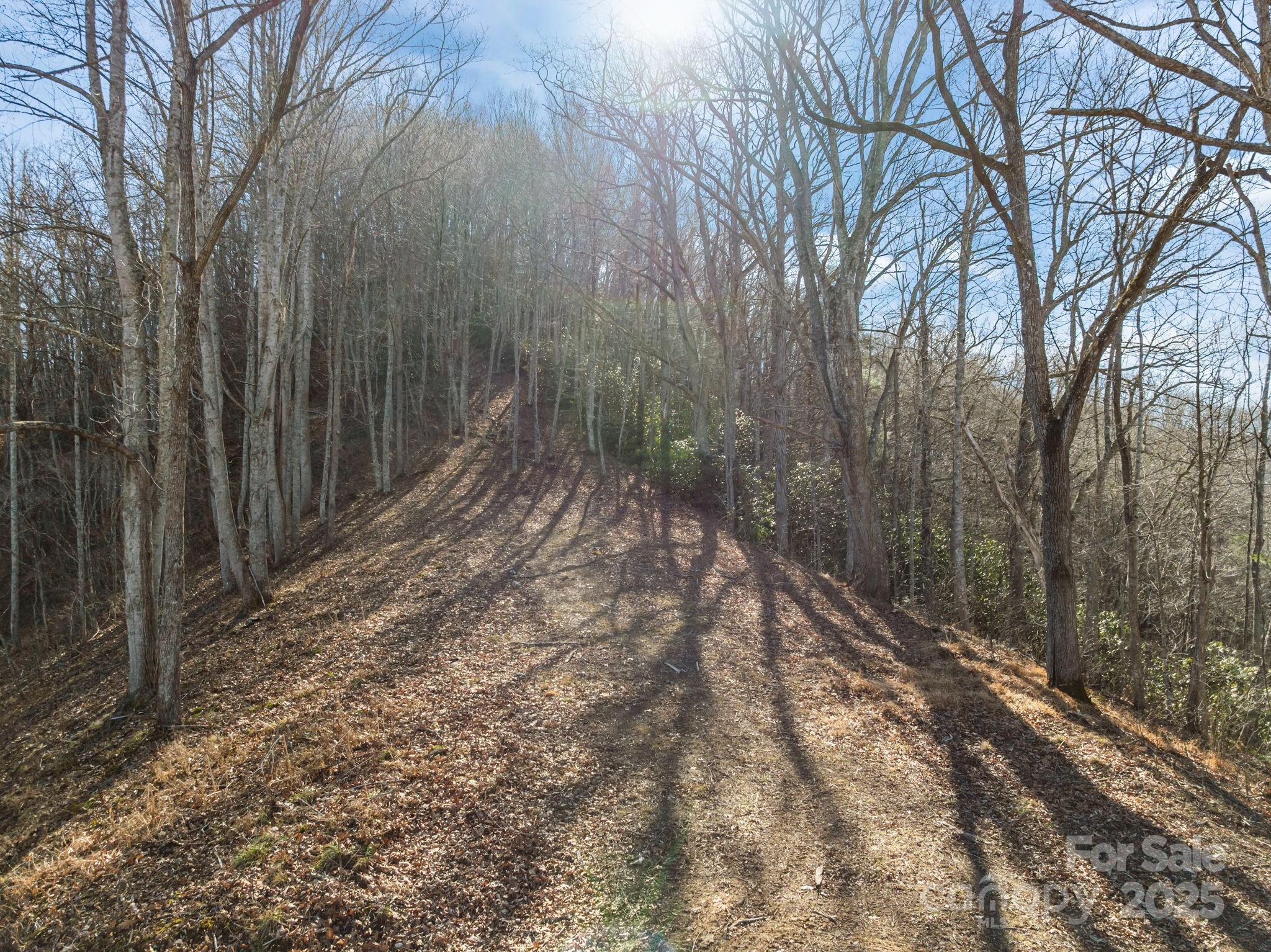 000 Wayward Cove Clyde NC 28721