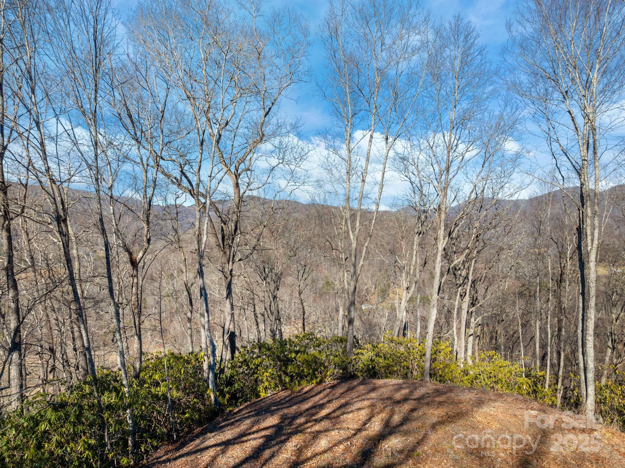 000 Wayward Cove Clyde NC 28721