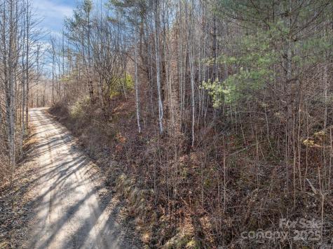 000 Wayward Cove Clyde NC 28721