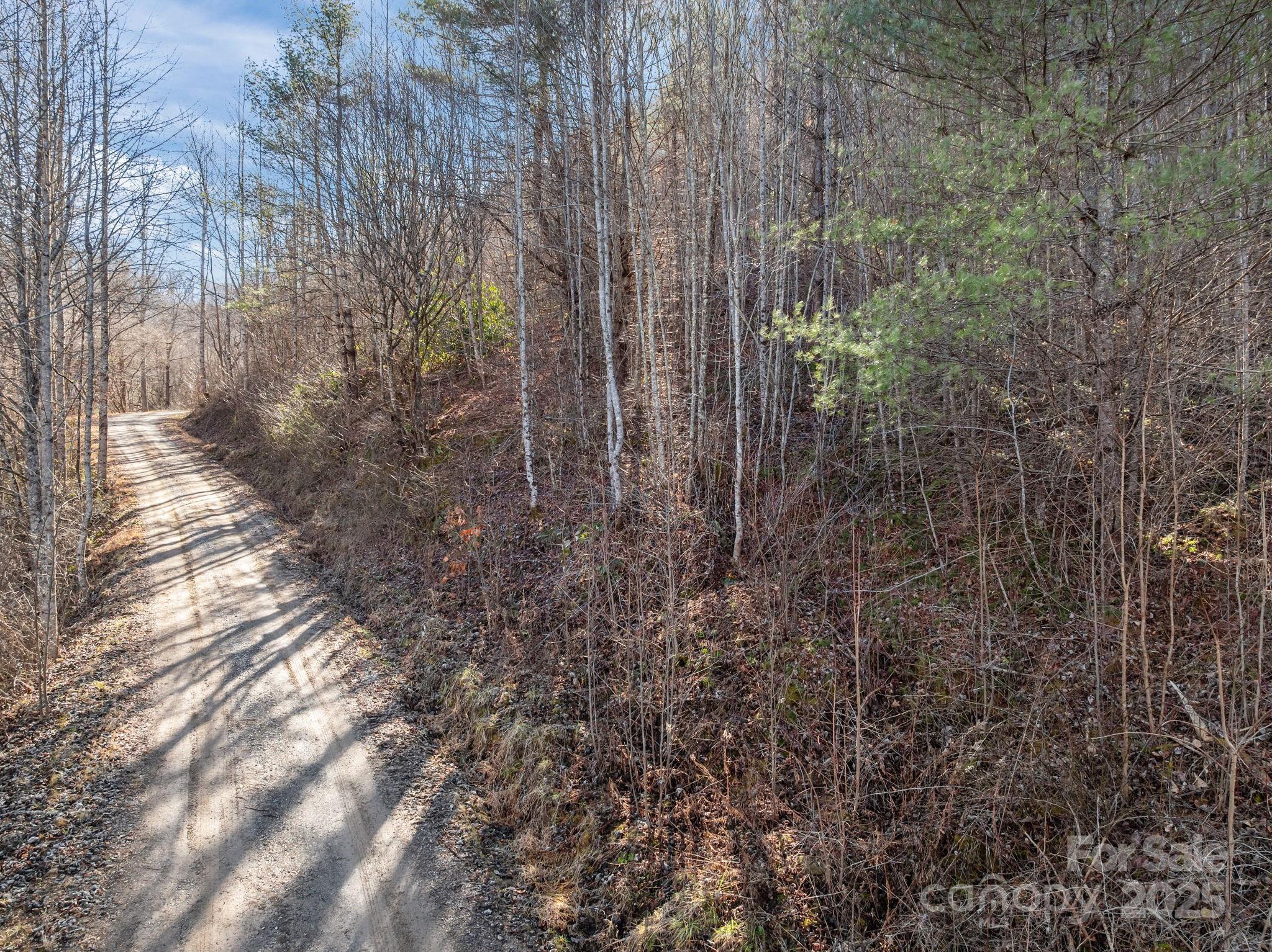 000 Wayward Cove Clyde NC 28721