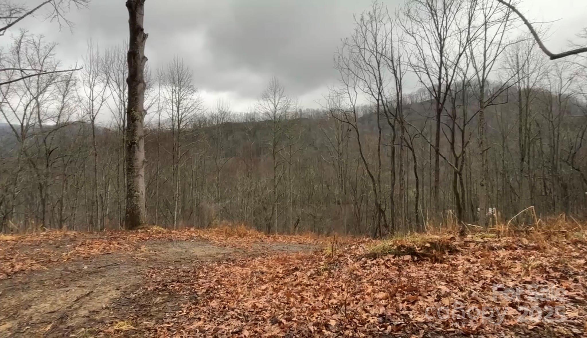 000 Wayward Cove Clyde NC 28721