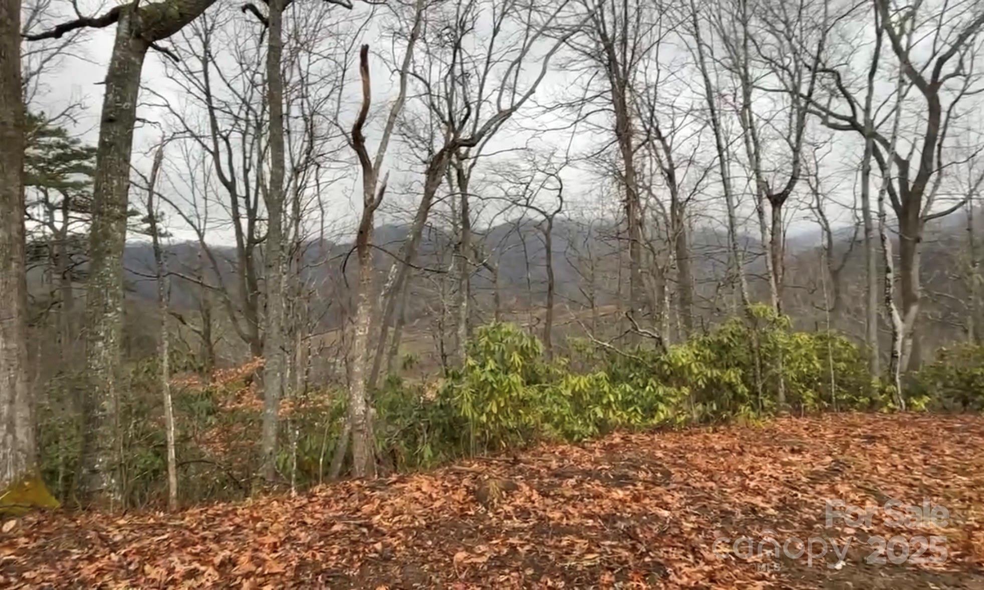 000 Wayward Cove Clyde NC 28721