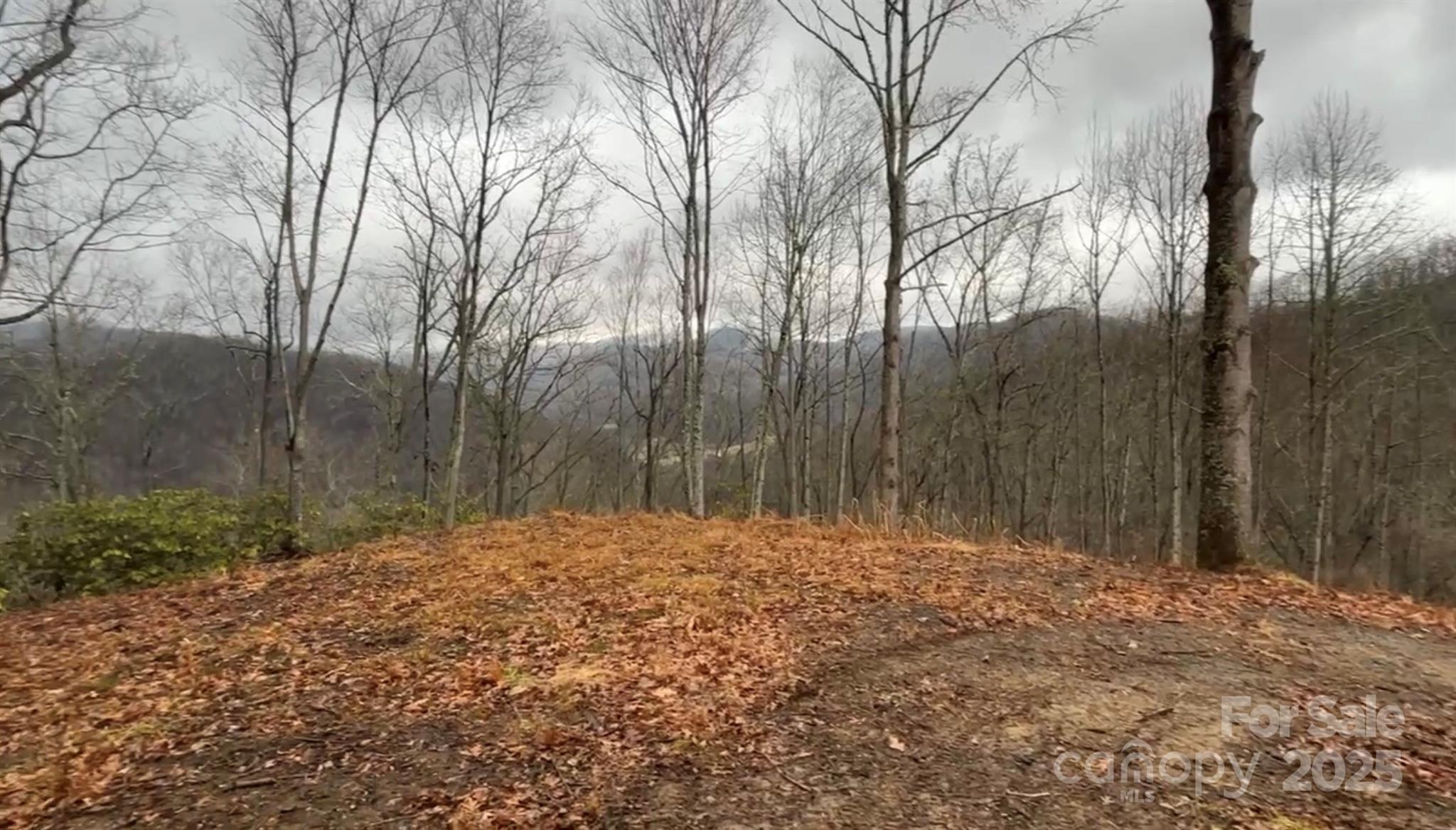 000 Wayward Cove Clyde NC 28721