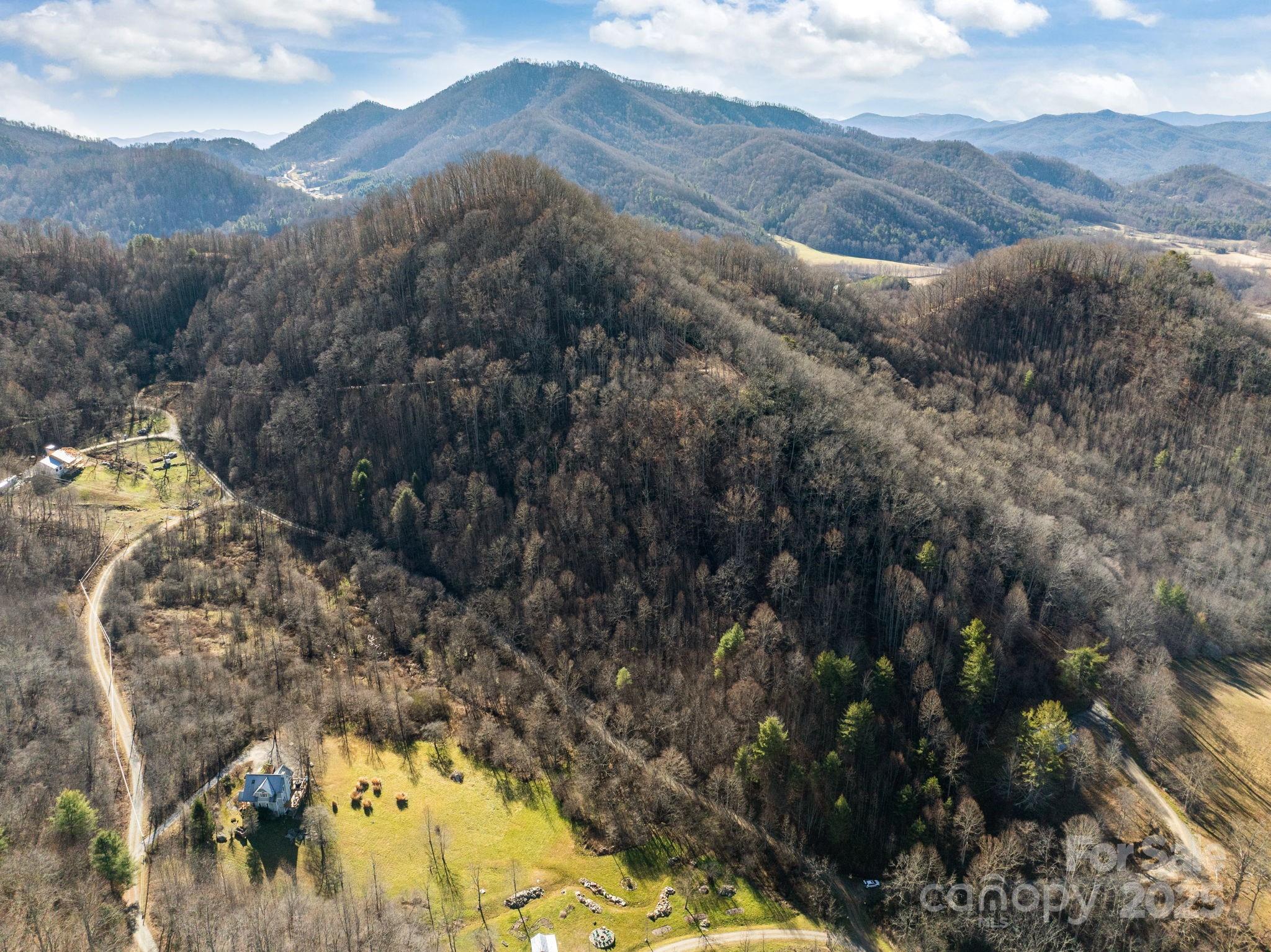 000 Wayward Cove Clyde NC 28721