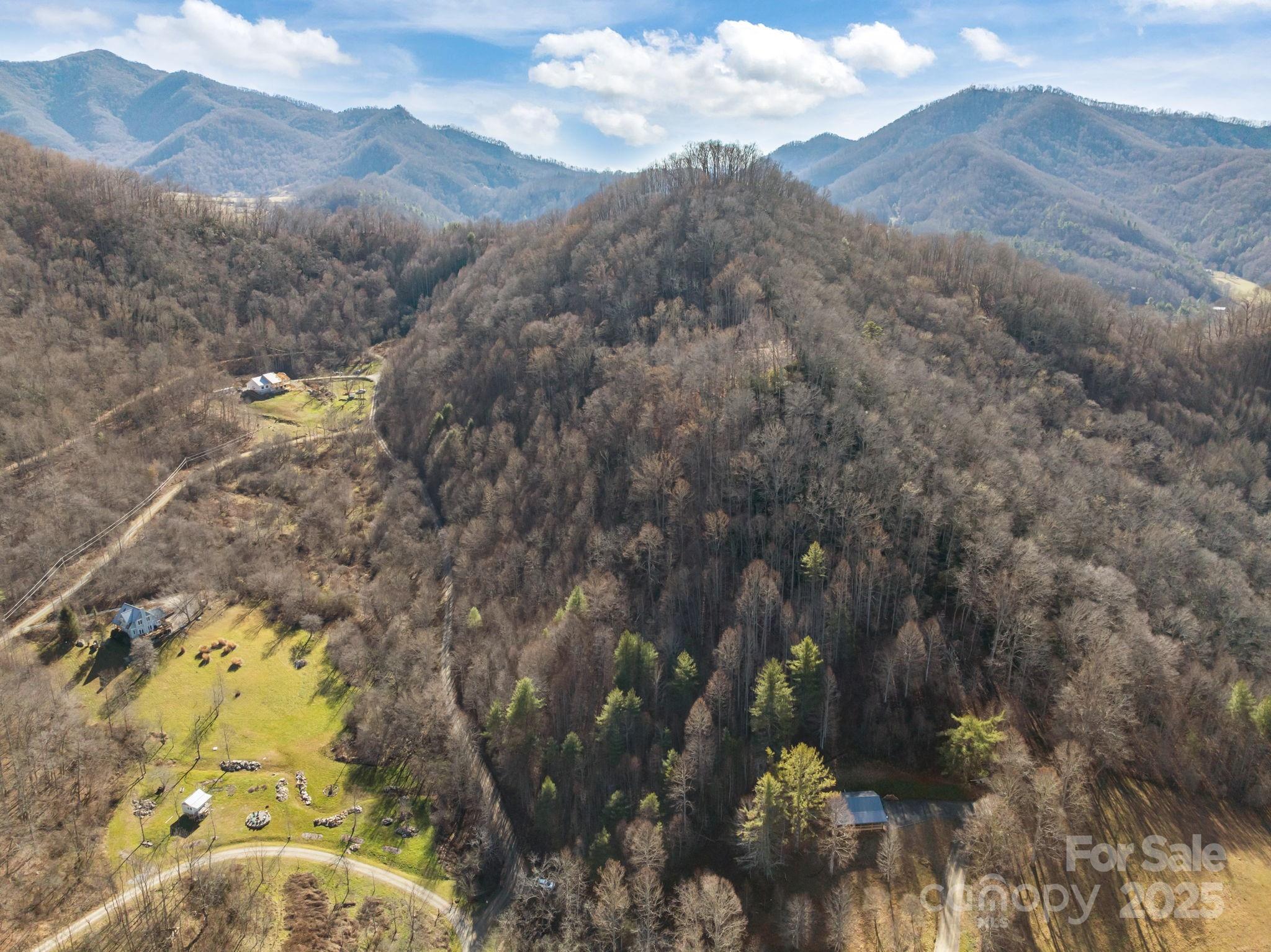 000 Wayward Cove Clyde NC 28721