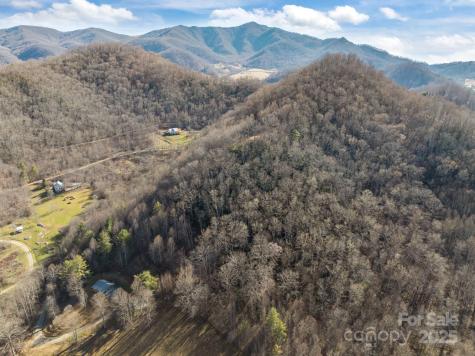 000 Wayward Cove Clyde NC 28721
