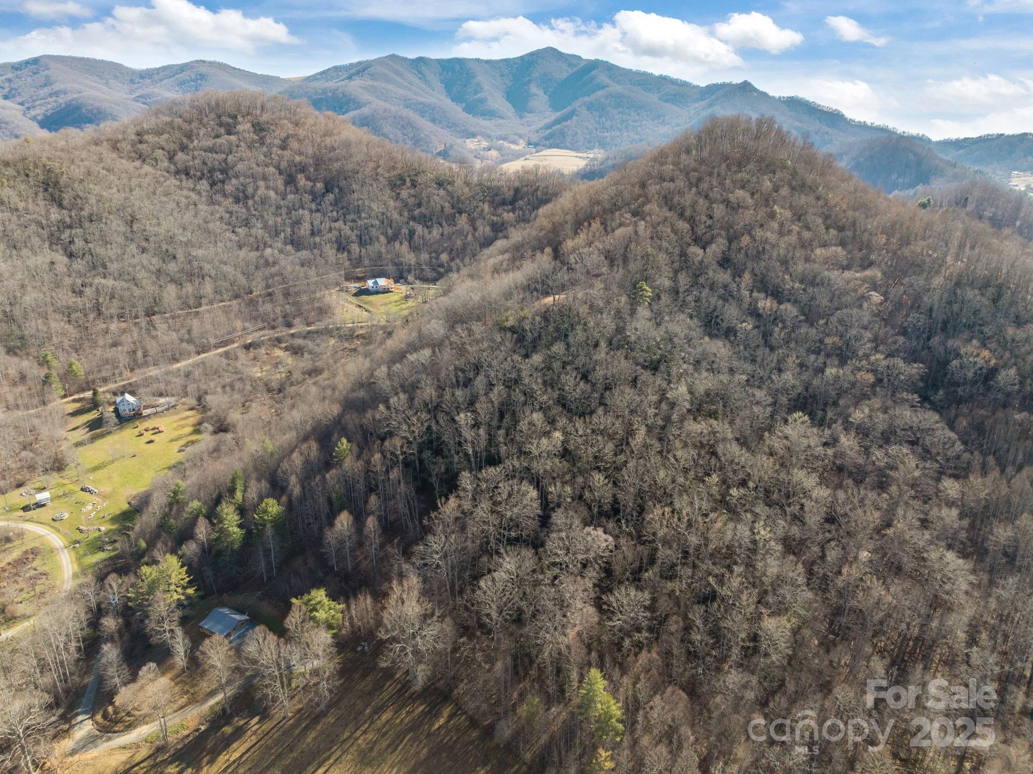 000 Wayward Cove Clyde NC 28721