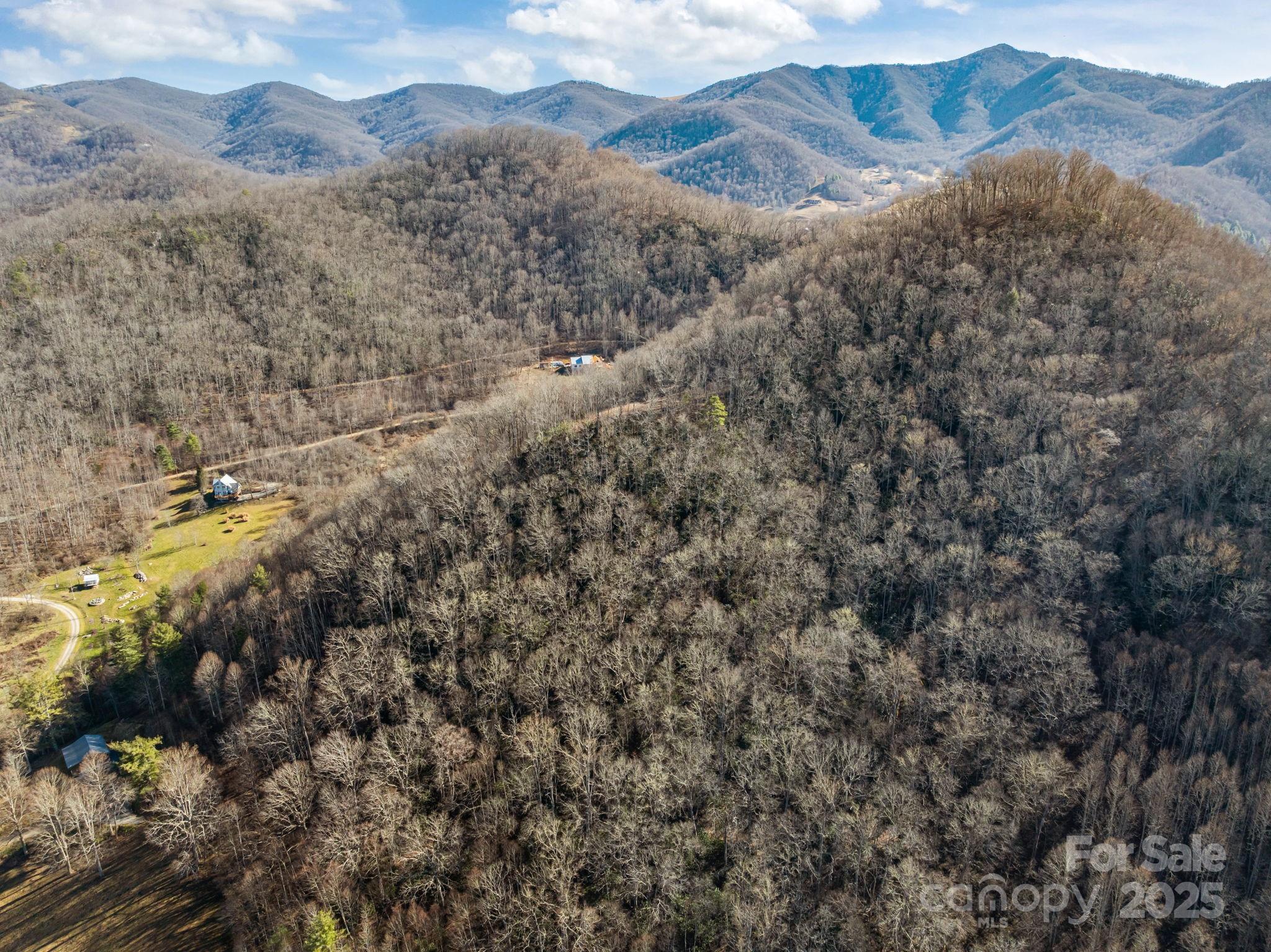 000 Wayward Cove Clyde NC 28721