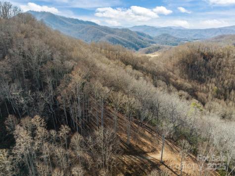 000 Wayward Cove Clyde NC 28721