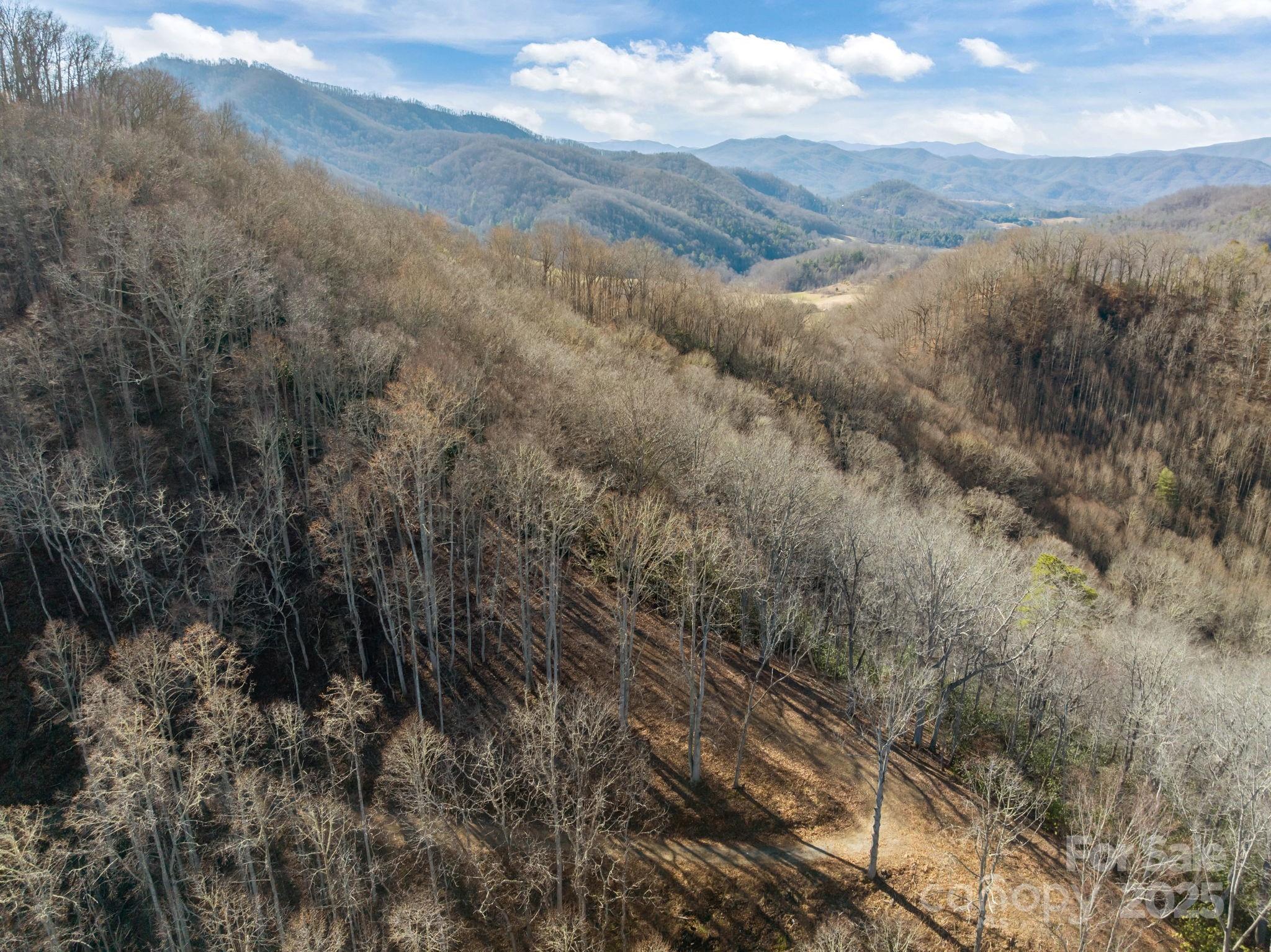 000 Wayward Cove Clyde NC 28721