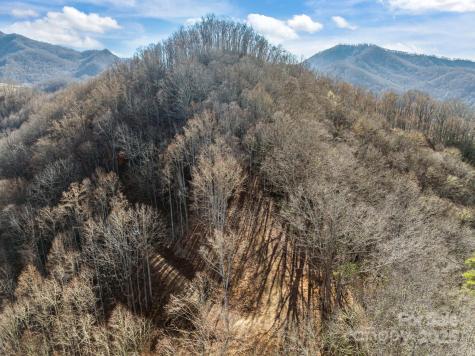 000 Wayward Cove Clyde NC 28721