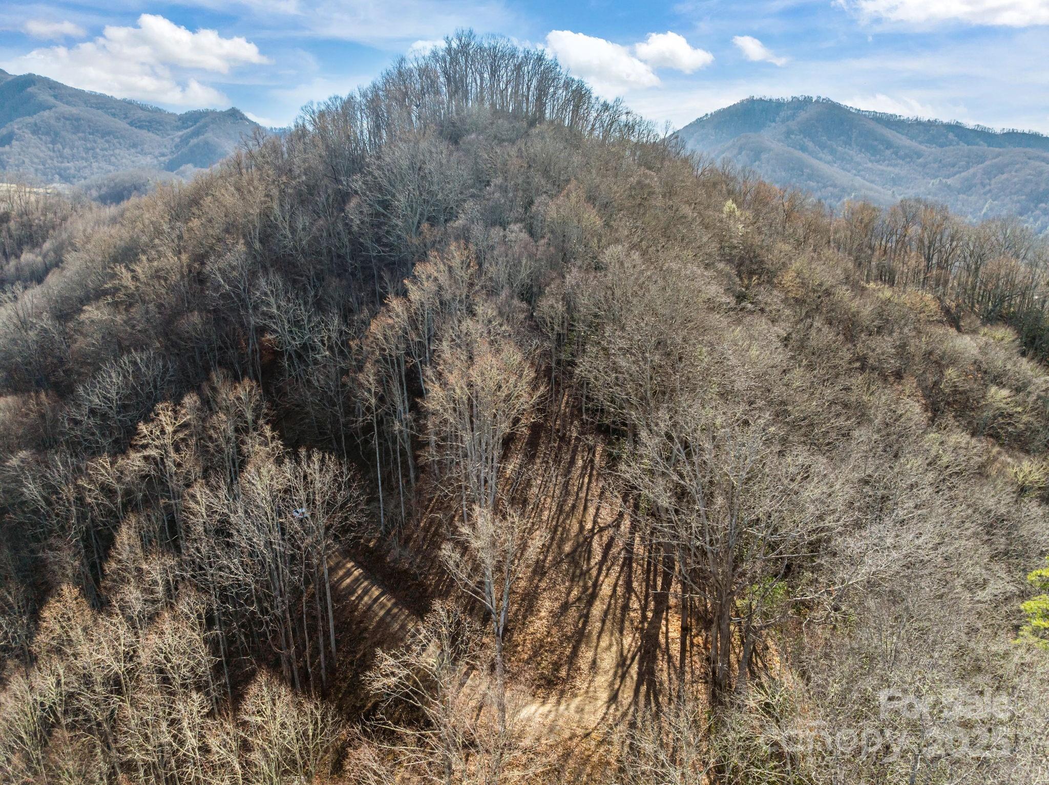 000 Wayward Cove Clyde NC 28721