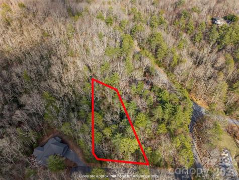Tbd Tsvwagi Court Brevard NC 28712