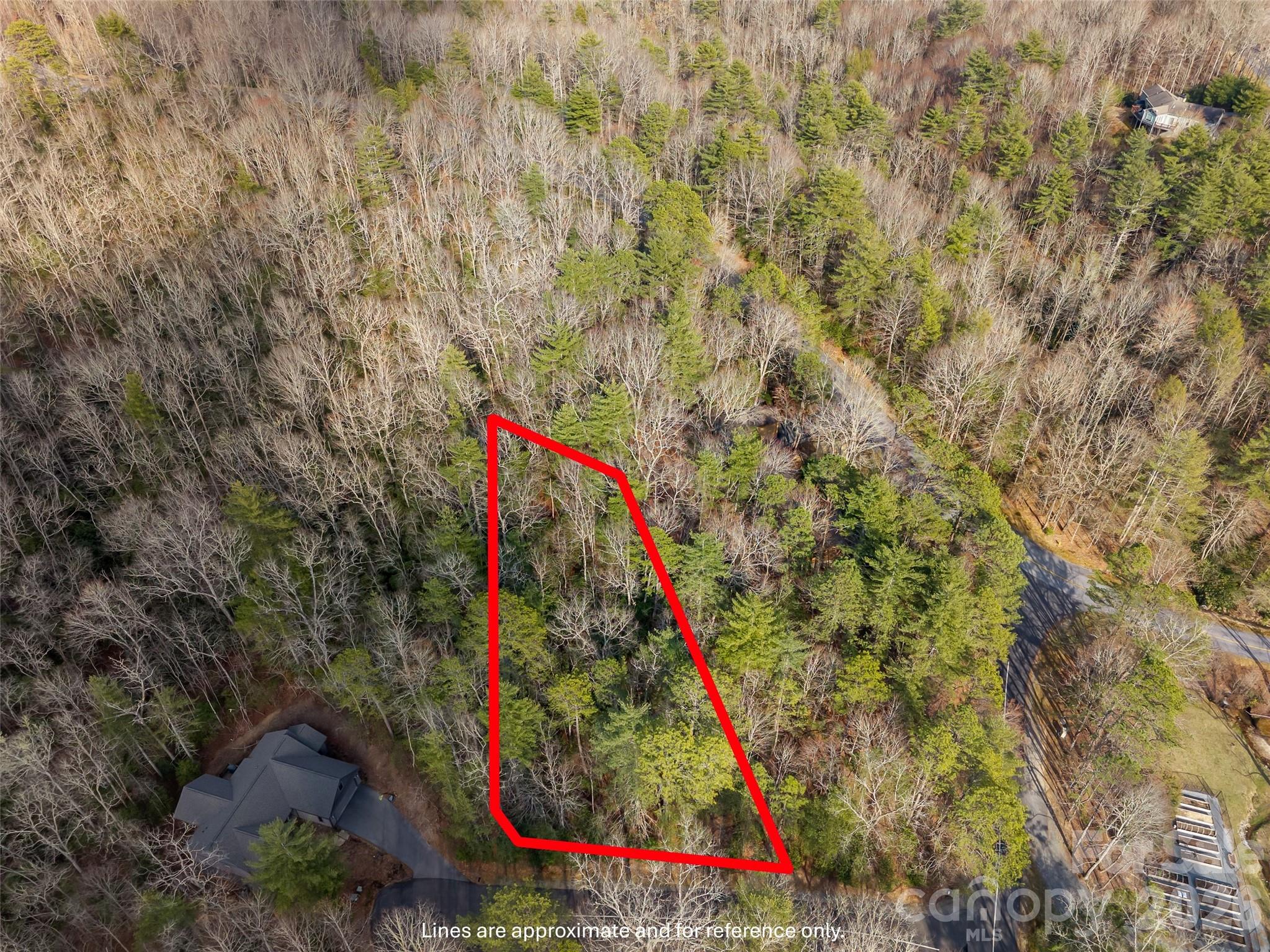 Tbd Tsvwagi Court Brevard NC 28712